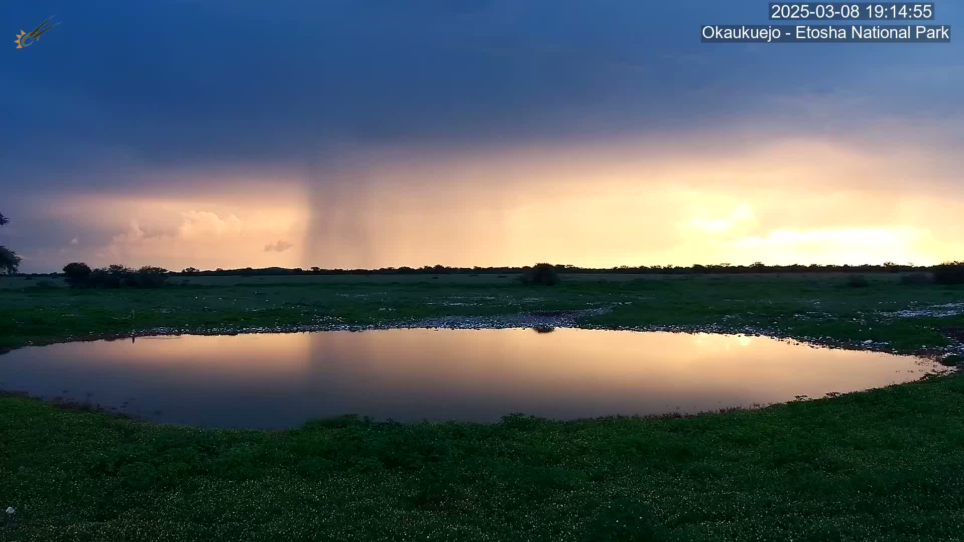 A calm, shallow pond reflects a sunset sky with some lingering rain clouds and a faint shower in the distance.