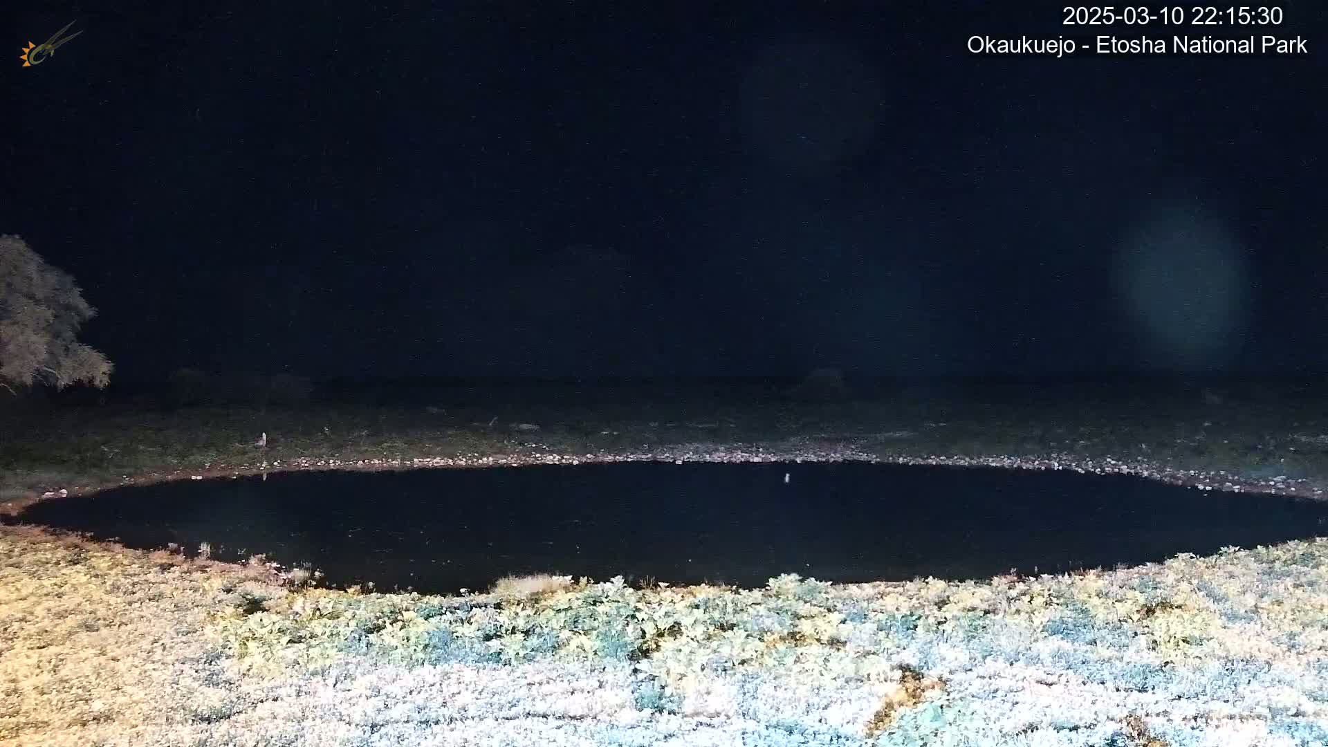 A dark, still body of water is surrounded by sparse vegetation under a clear, starlit night sky.