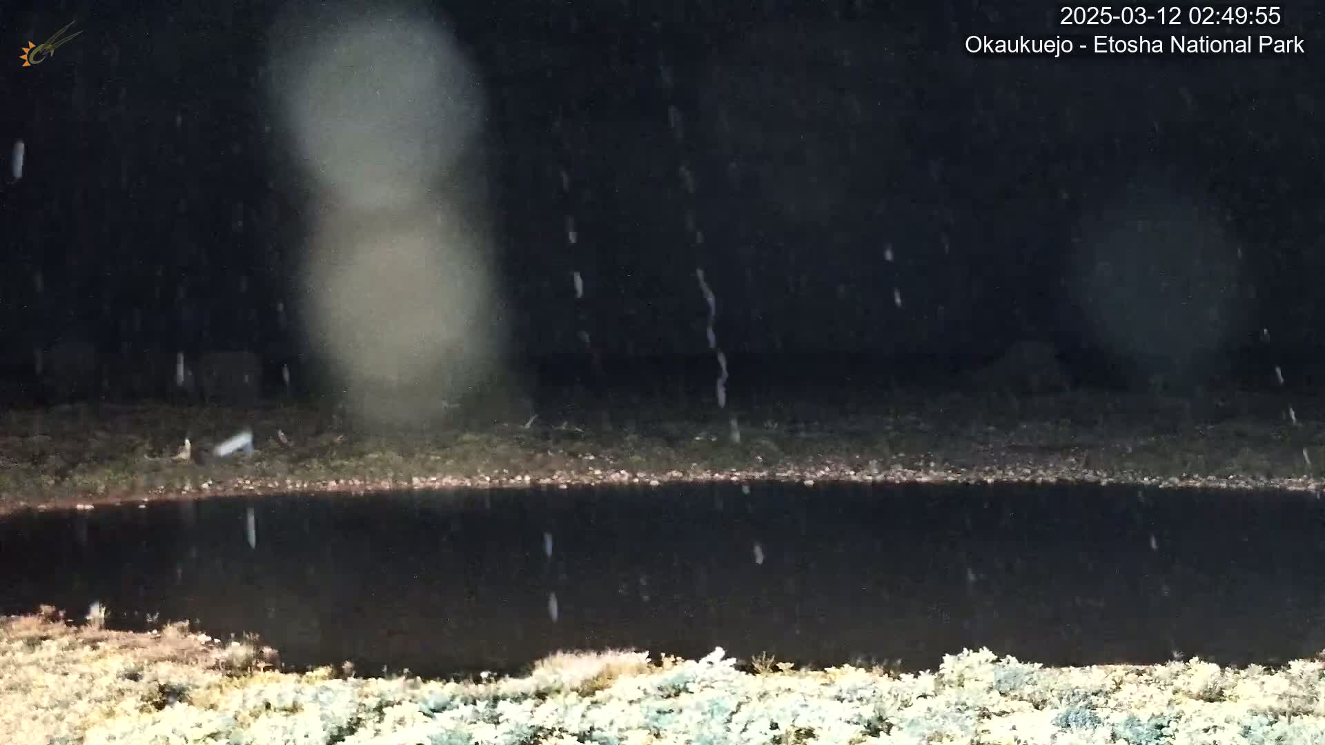 A dark, still body of water is seen at night under a light rain.