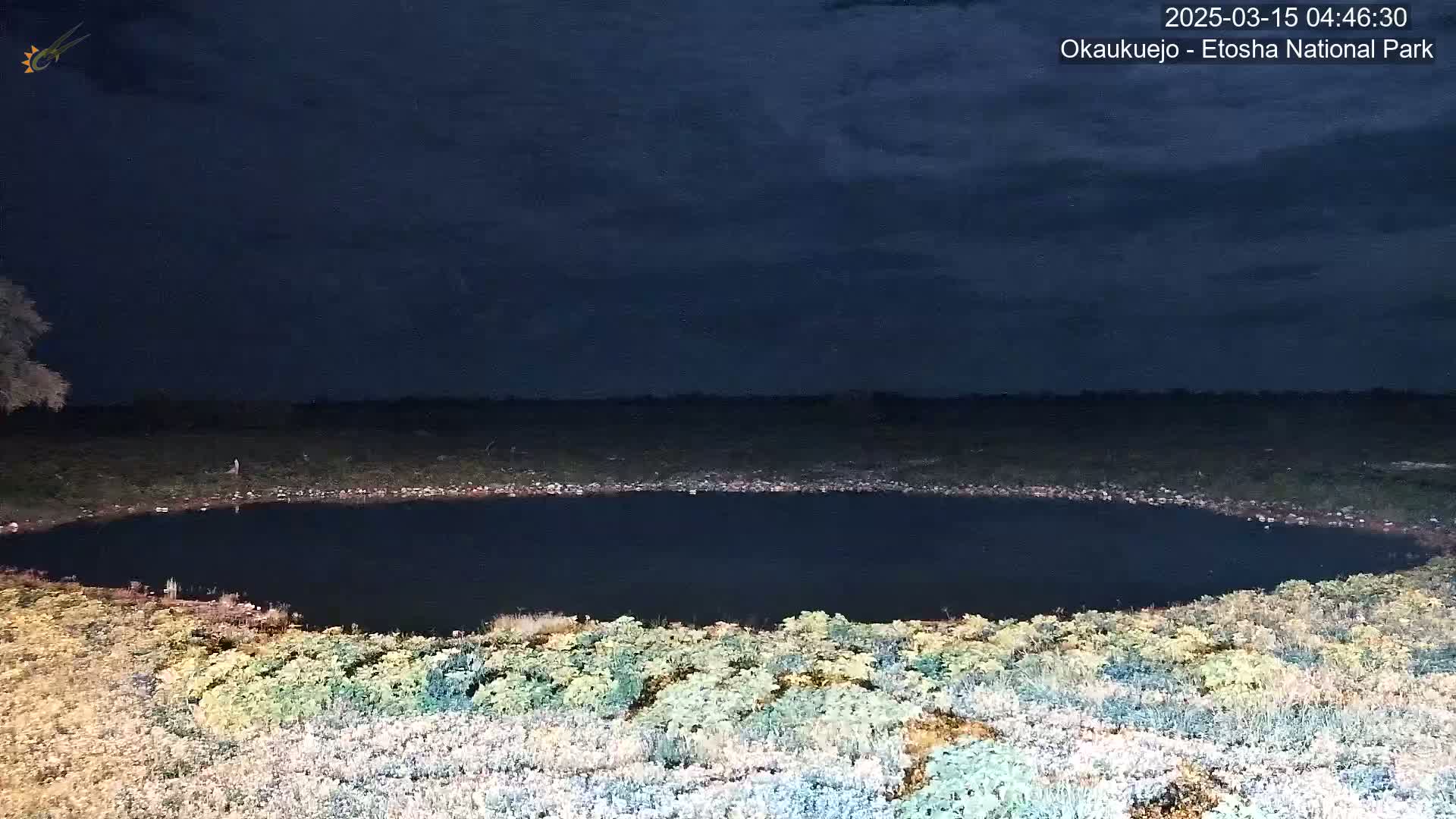 A dark, still body of water is surrounded by low-lying vegetation under a mostly cloudy night sky.