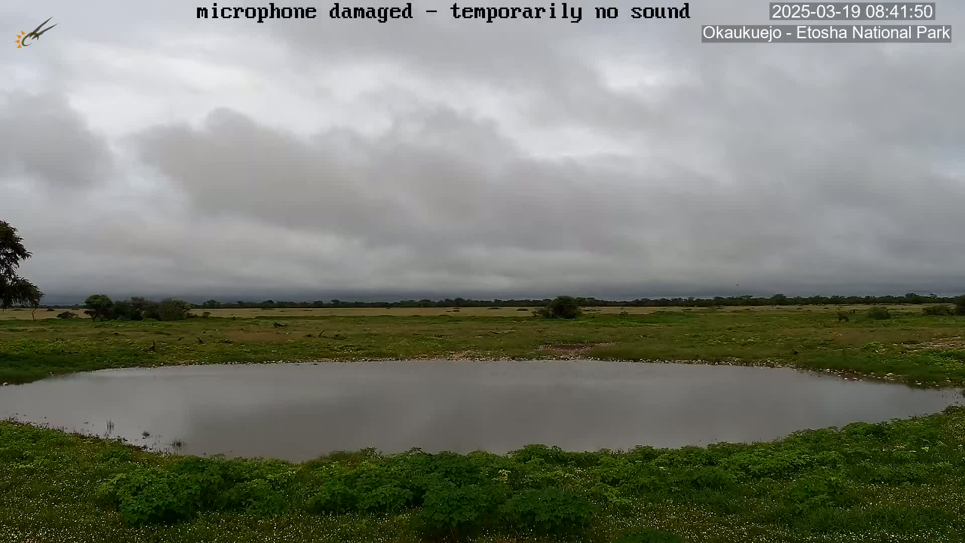 A flat, grassy landscape under a cloudy sky features a small, still body of water surrounded by green vegetation.