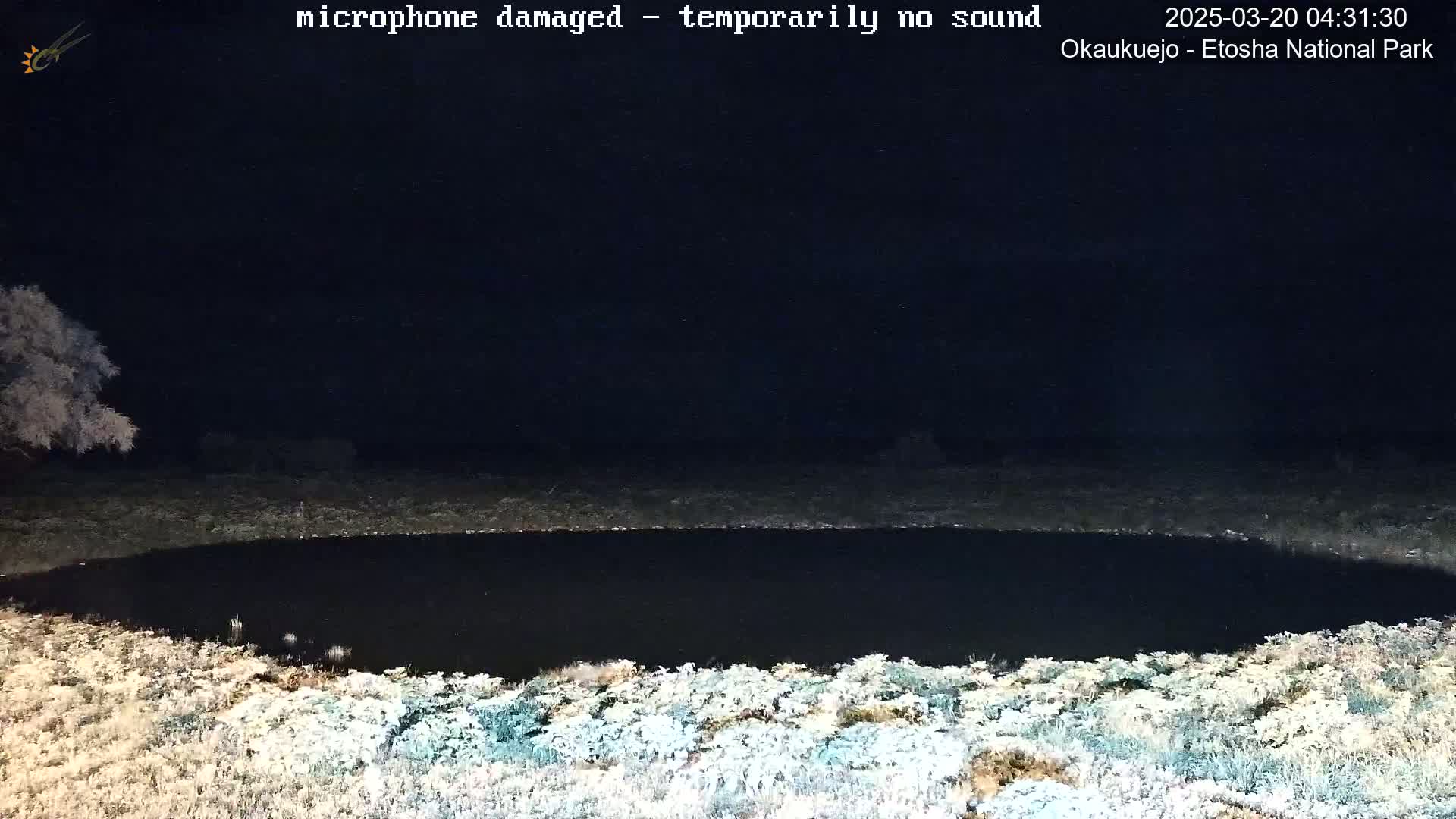 A dark, still body of water is visible at night, surrounded by frost-covered vegetation under a clear, starlit sky.