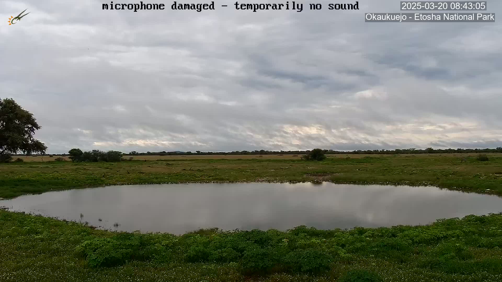 A calm body of water sits in a grassy field under a cloudy sky.