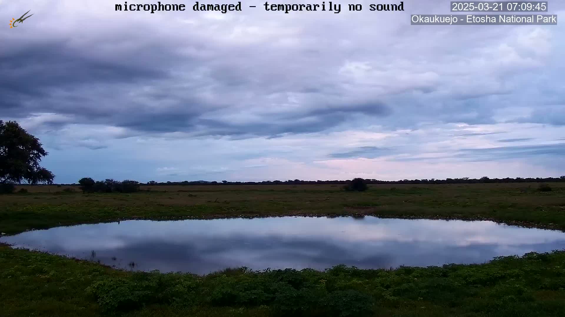 A calm, still pond reflects a cloudy, dusky sky in a flat, grassy landscape.
