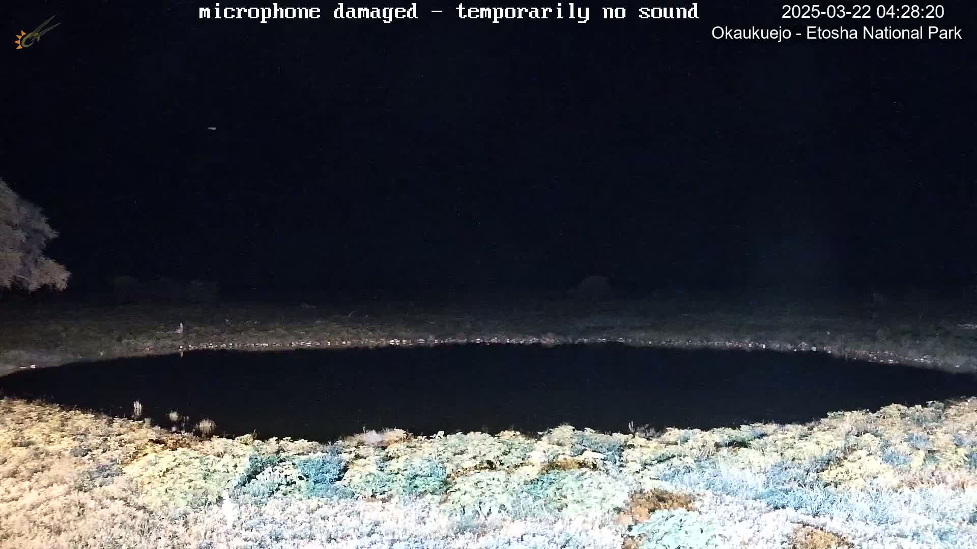 A dark, still body of water is surrounded by low vegetation under a nighttime sky.