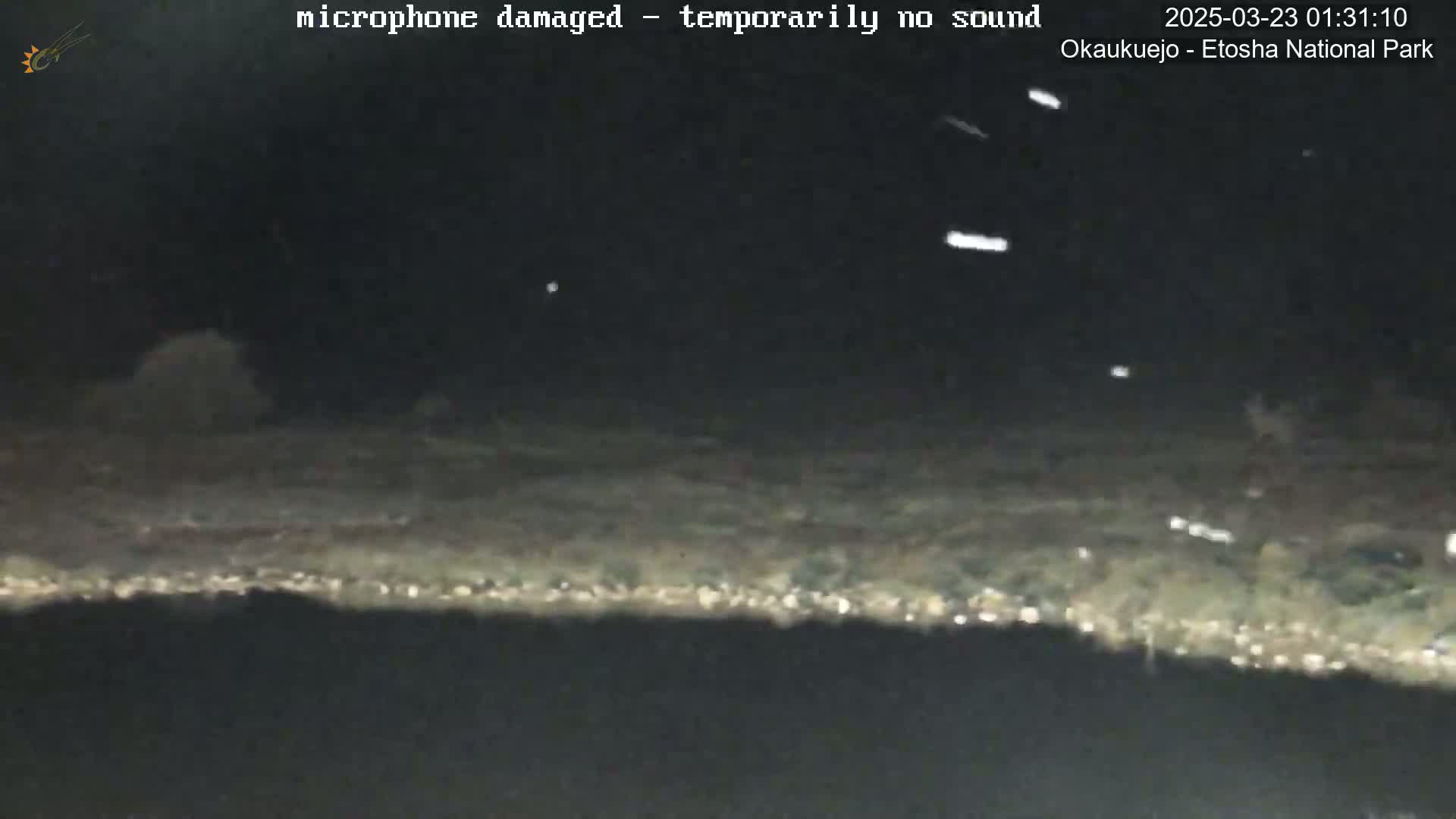 A nighttime, low-light view of a flat, dark landscape under a slightly snowy sky.