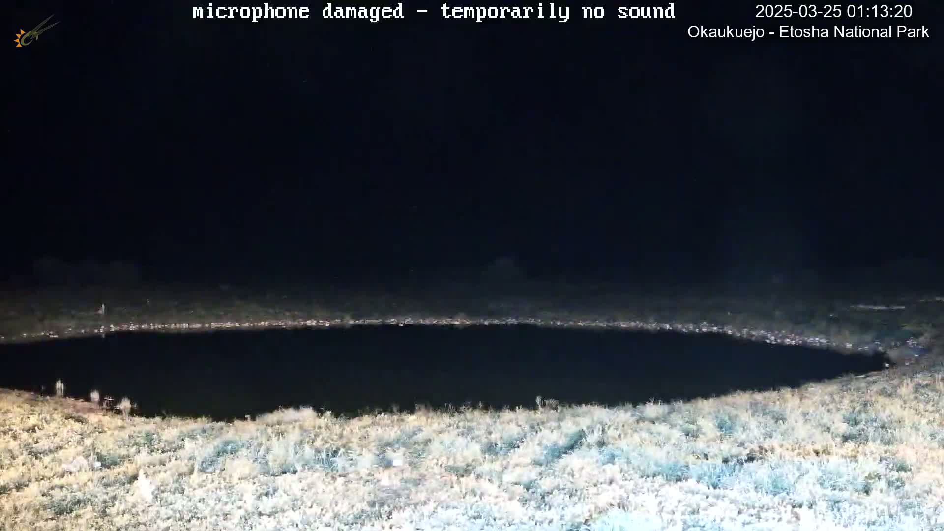 A dark, oval-shaped body of water is surrounded by dry, light-colored grass under a nighttime sky.
