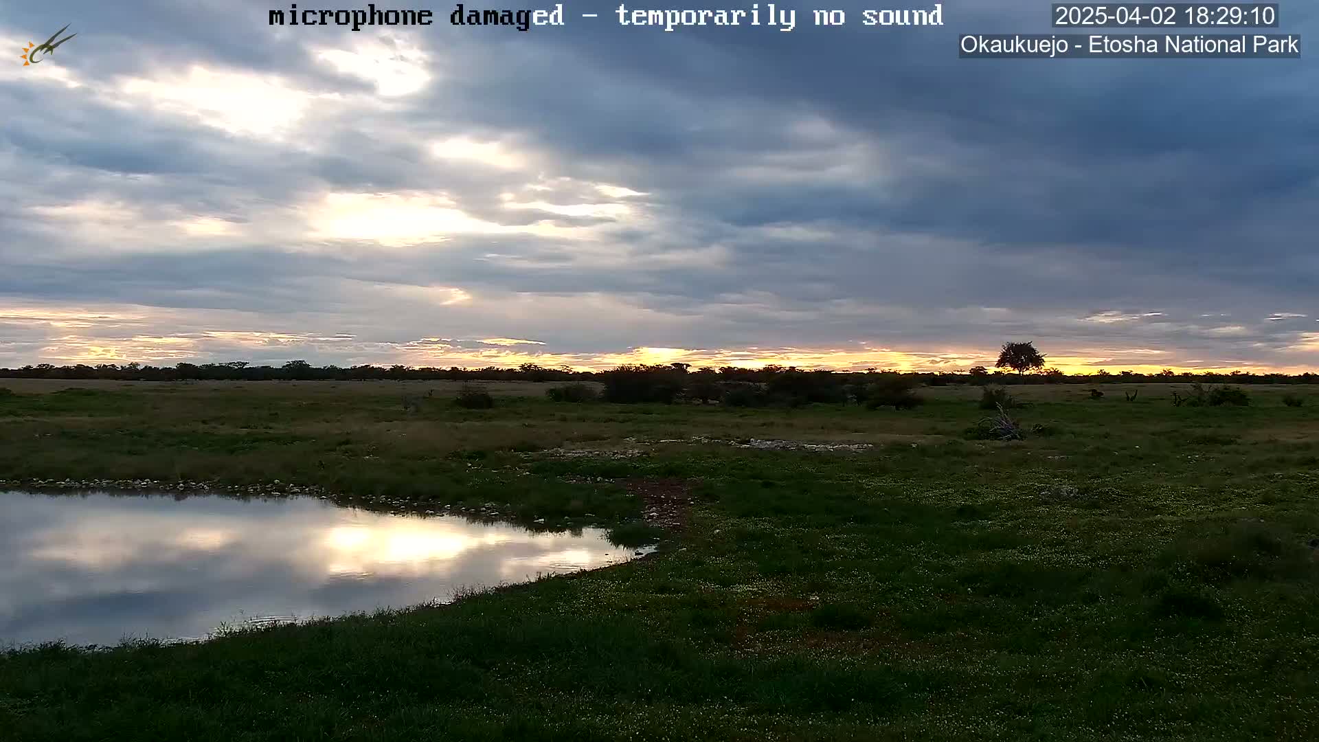 A calm sunset over a grassy plain with a small body of water reflecting the sky, under a partly cloudy sky.