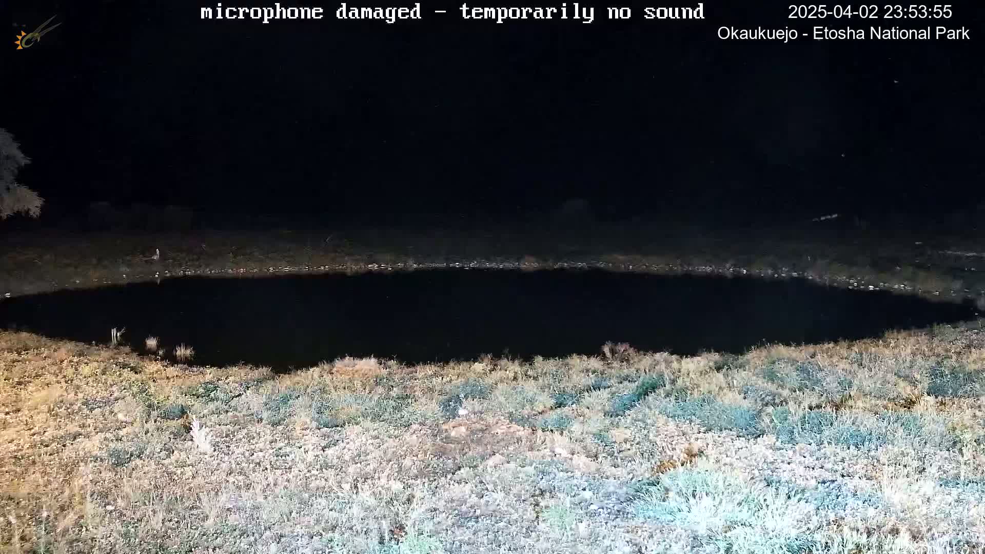 A dark, still body of water is surrounded by dry, light-brown and green grasses under a nighttime sky.