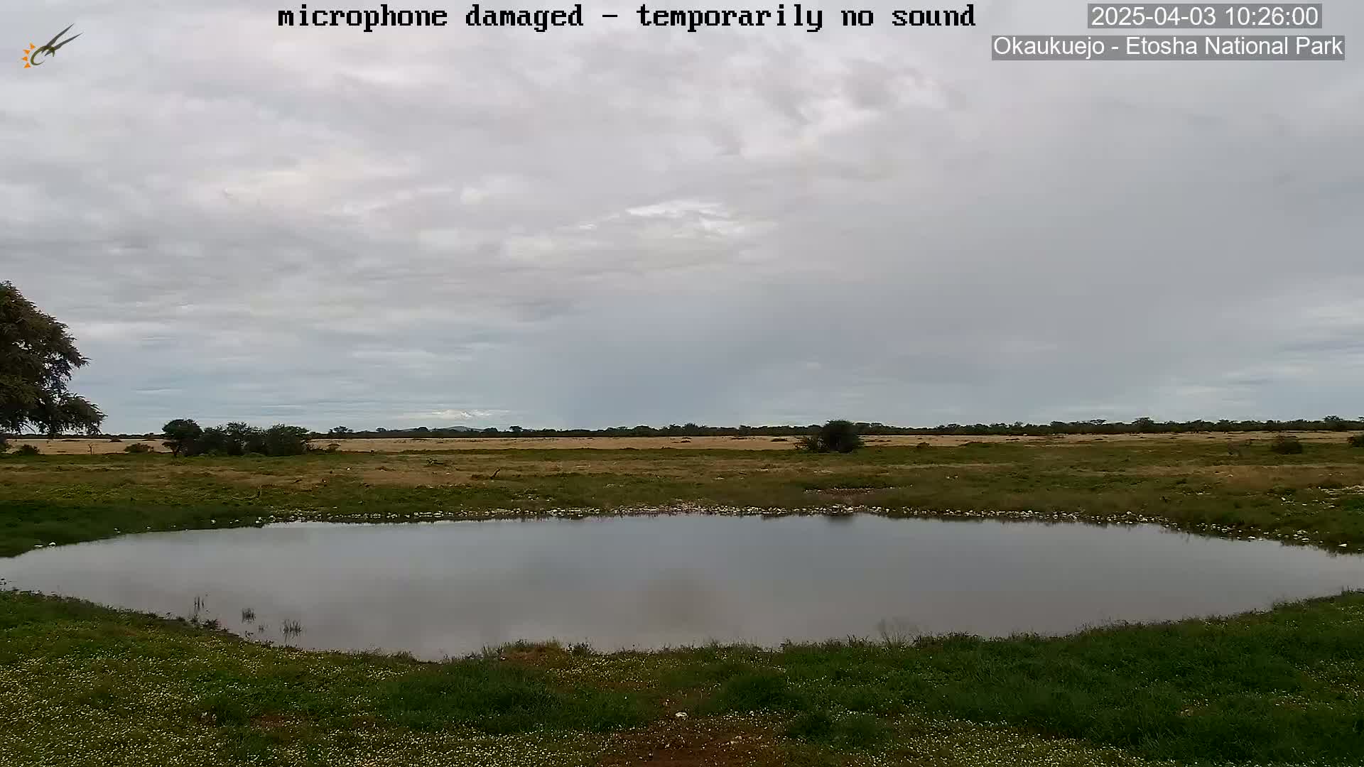 A calm body of water sits in a grassy field under a cloudy sky.