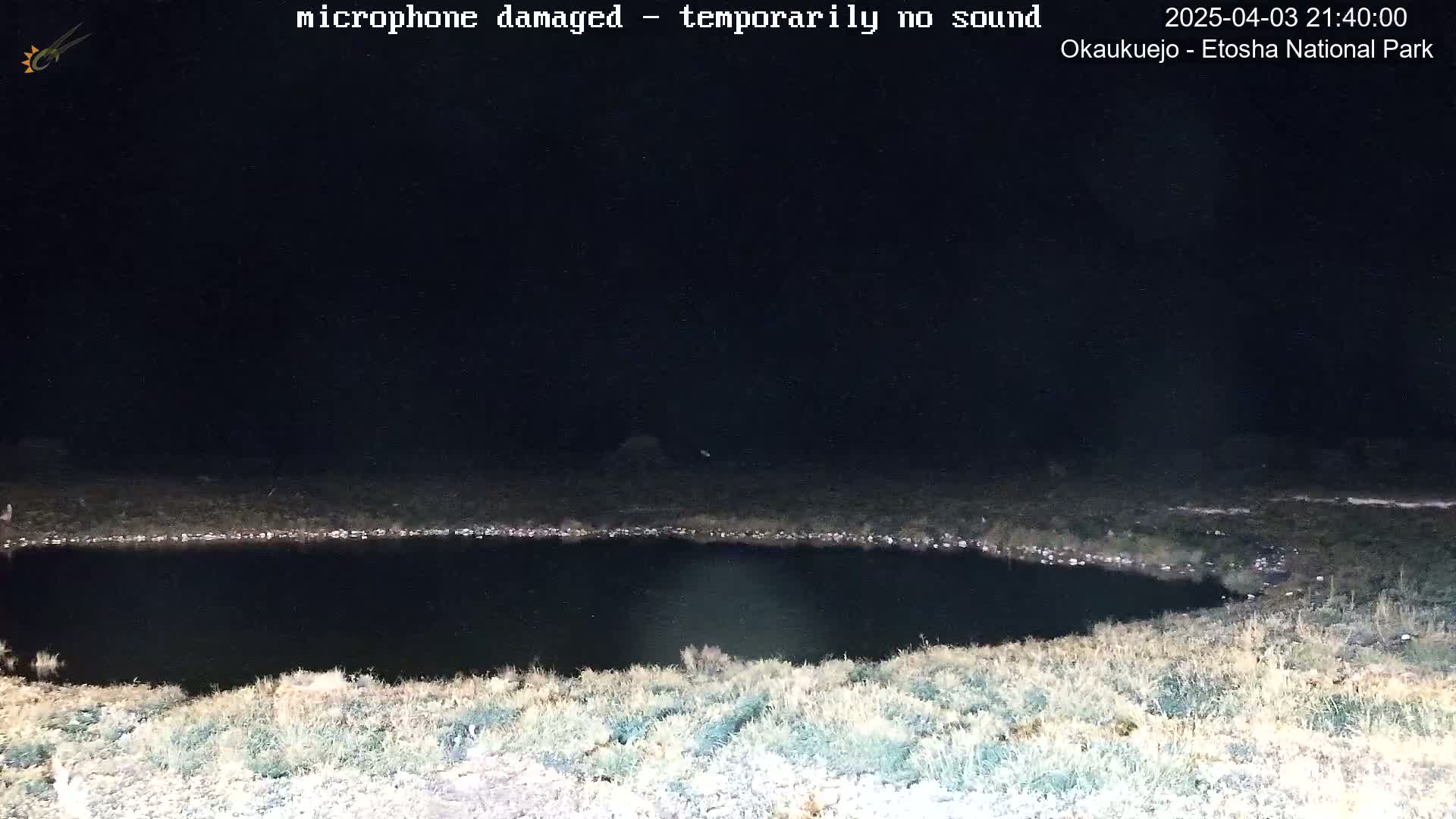 A dark, still body of water is surrounded by dry, light-colored grass under a night sky.