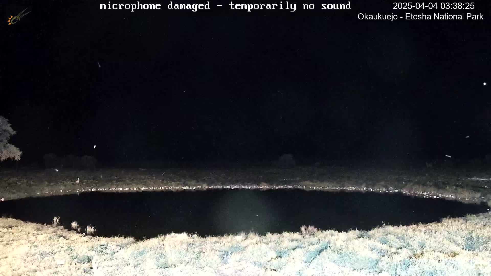 A dark, still body of water is surrounded by light-colored, sparse vegetation under a nighttime sky with some light speckles.
