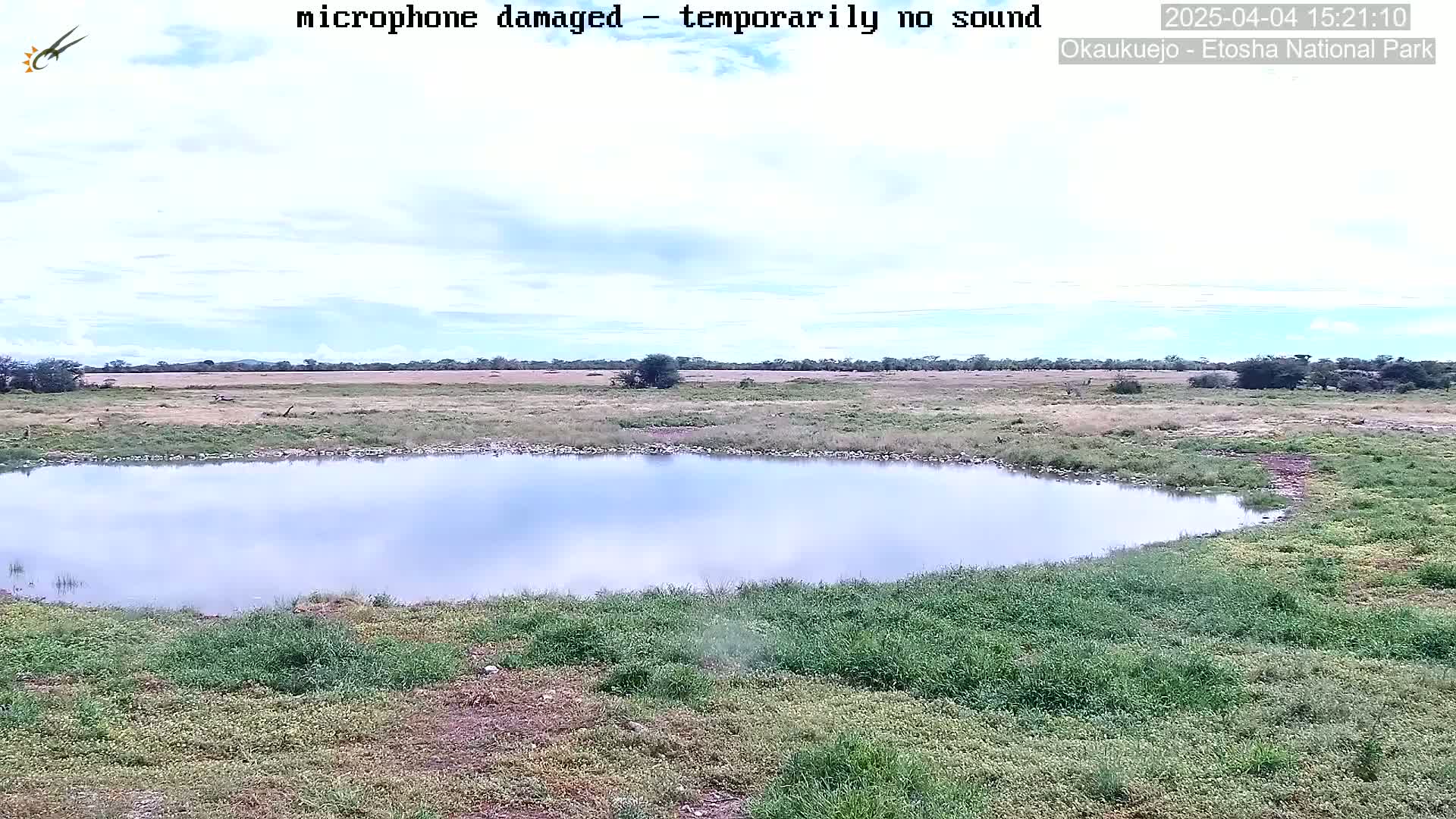 A calm, partly cloudy day reveals a small, still body of water surrounded by short, green grass and scrubby vegetation in a flat, open landscape.