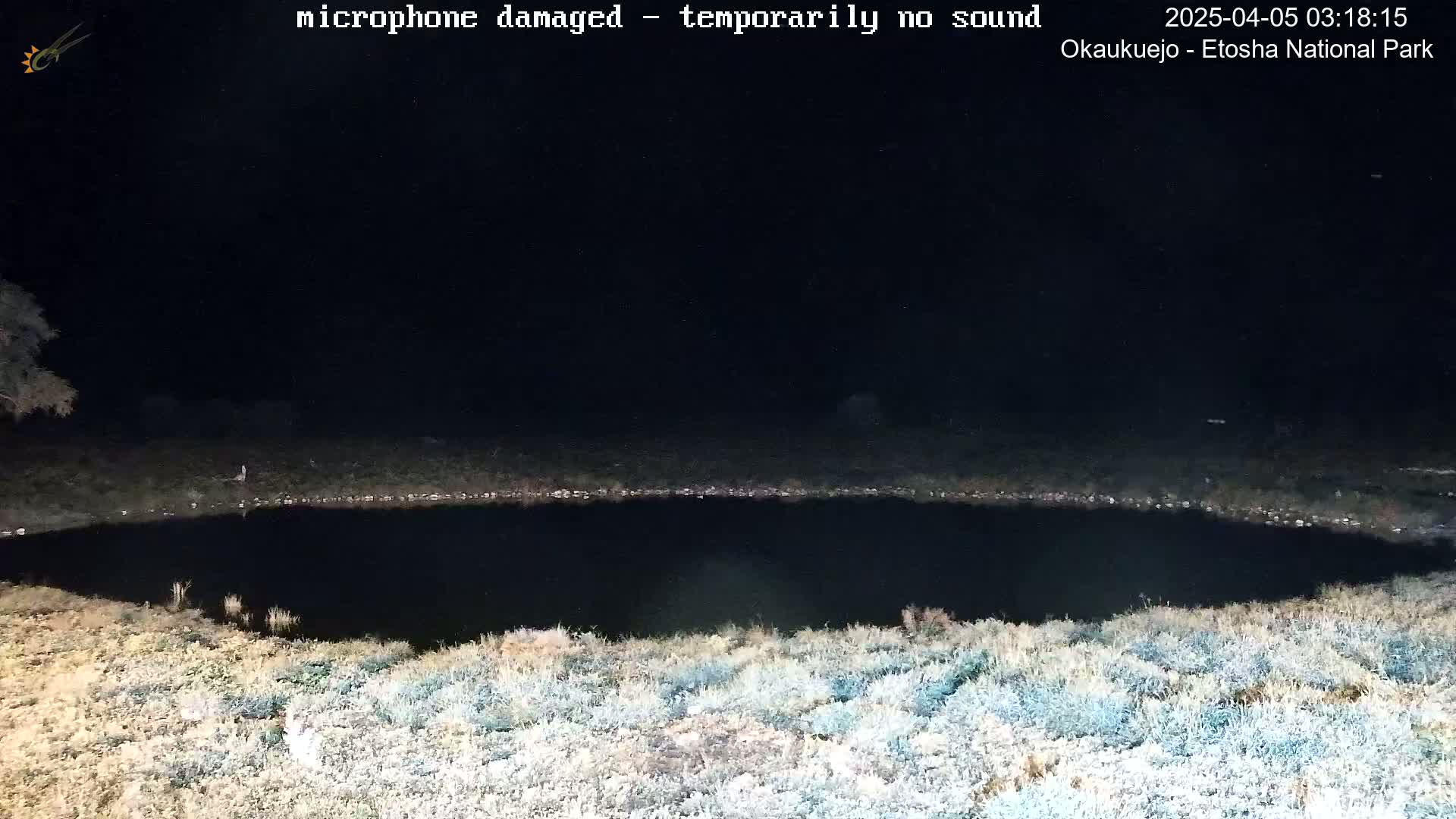 A dark, still body of water is surrounded by dry, light-colored vegetation under a nighttime sky.
