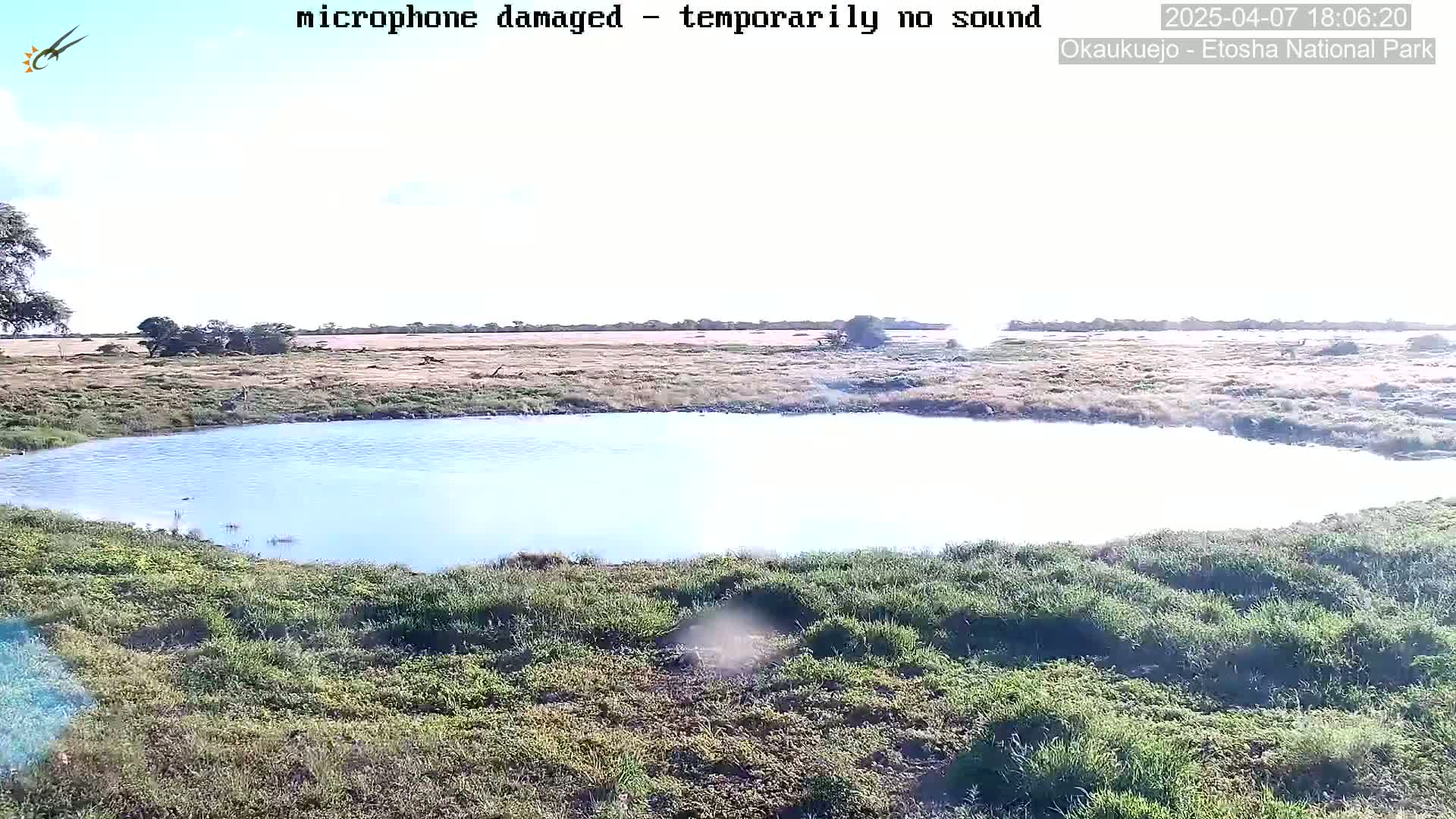 A calm, shallow body of water sits in a grassy field under a mostly clear sky.