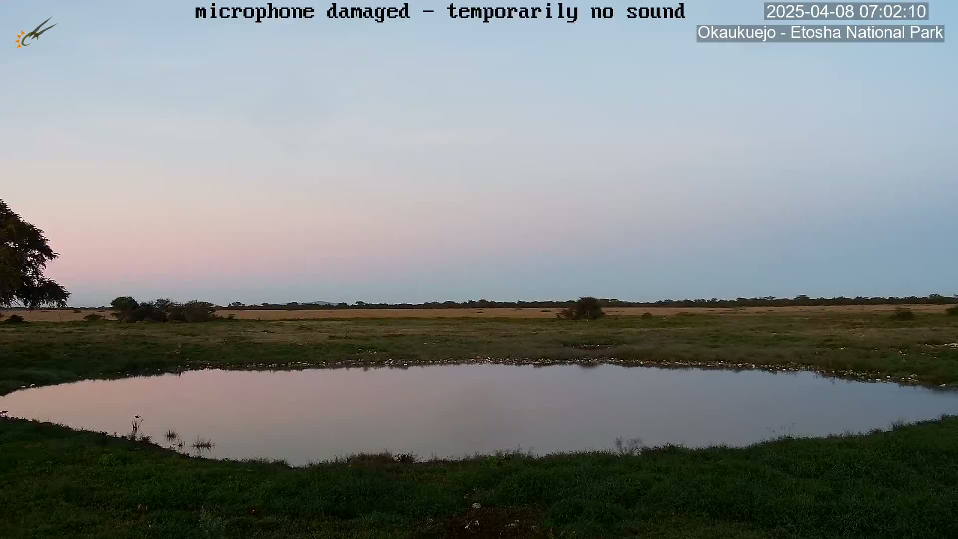 A calm, pinkish-hued twilight sky overlooks a small, still pond surrounded by flat grassland.