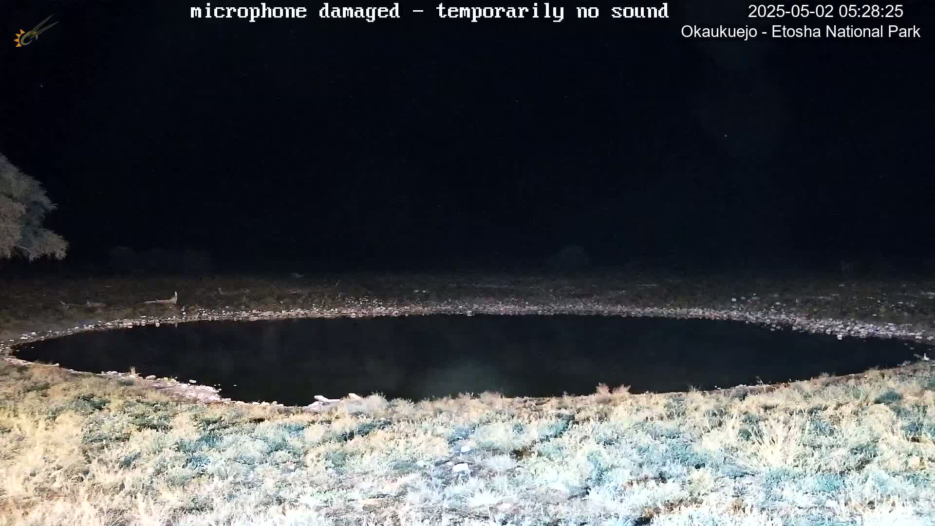 A dark, still body of water is surrounded by dry, light-colored grass under a night sky.