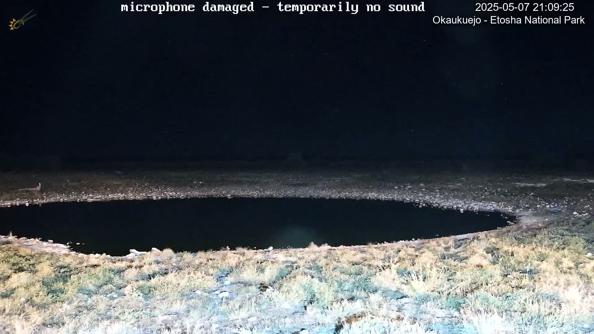 A dark, still body of water is visible at night under a starry sky, surrounded by sparse, dry-looking vegetation.