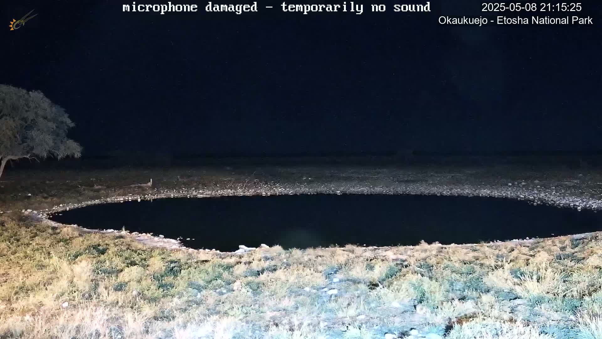 A dark, still body of water is surrounded by dry, light brown grass under a night sky.