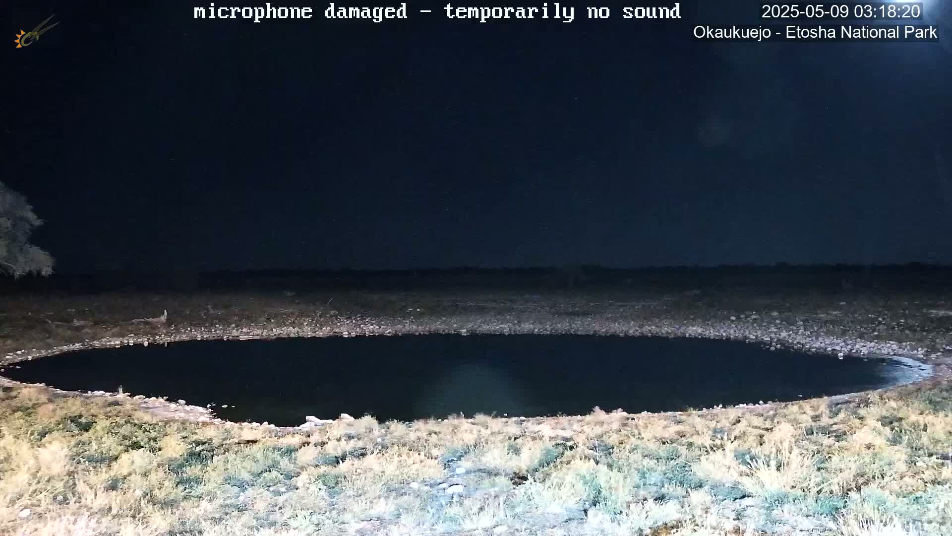 A dark, oval-shaped body of water sits in a dry, grassy area at night.
