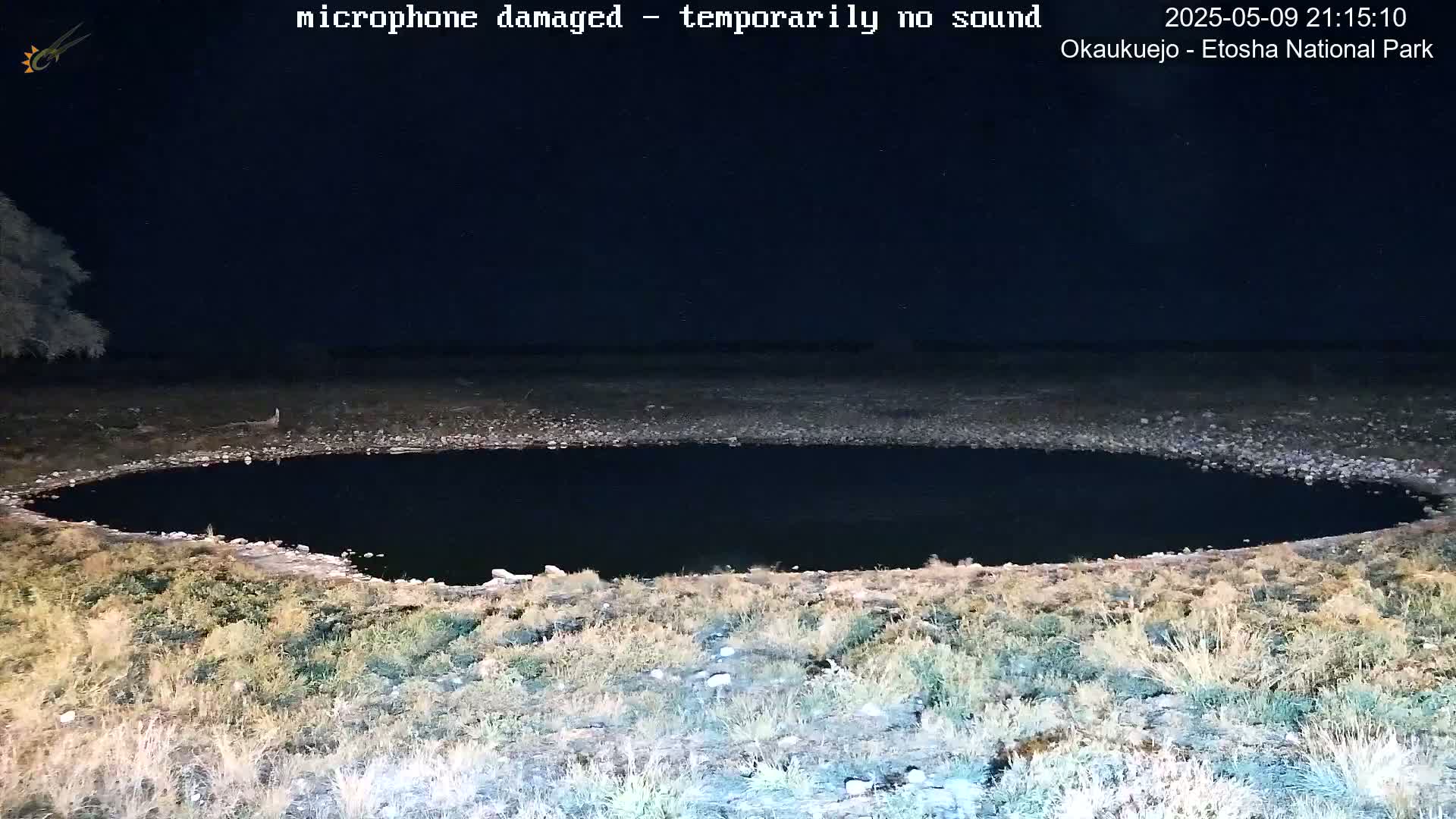 A dark, still body of water is surrounded by dry, sparse vegetation under a clear night sky.