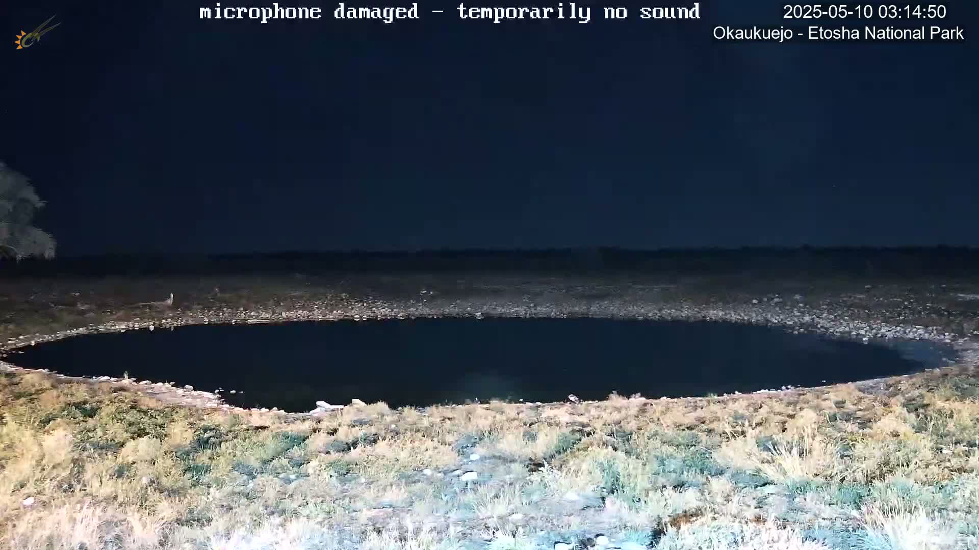 A dark, still body of water is surrounded by dry, light-brown grass under a night sky.