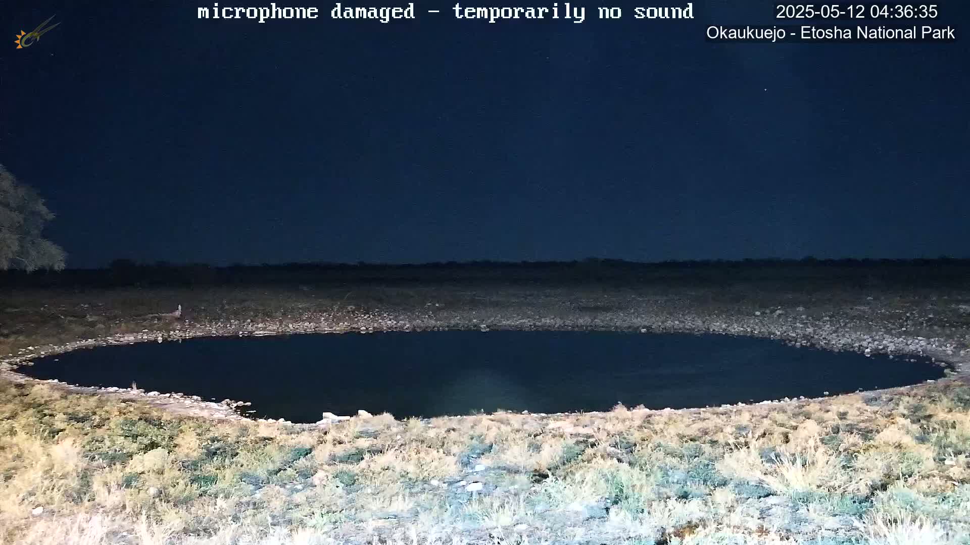 A dark, still body of water is surrounded by dry, light-brown vegetation under a night sky.