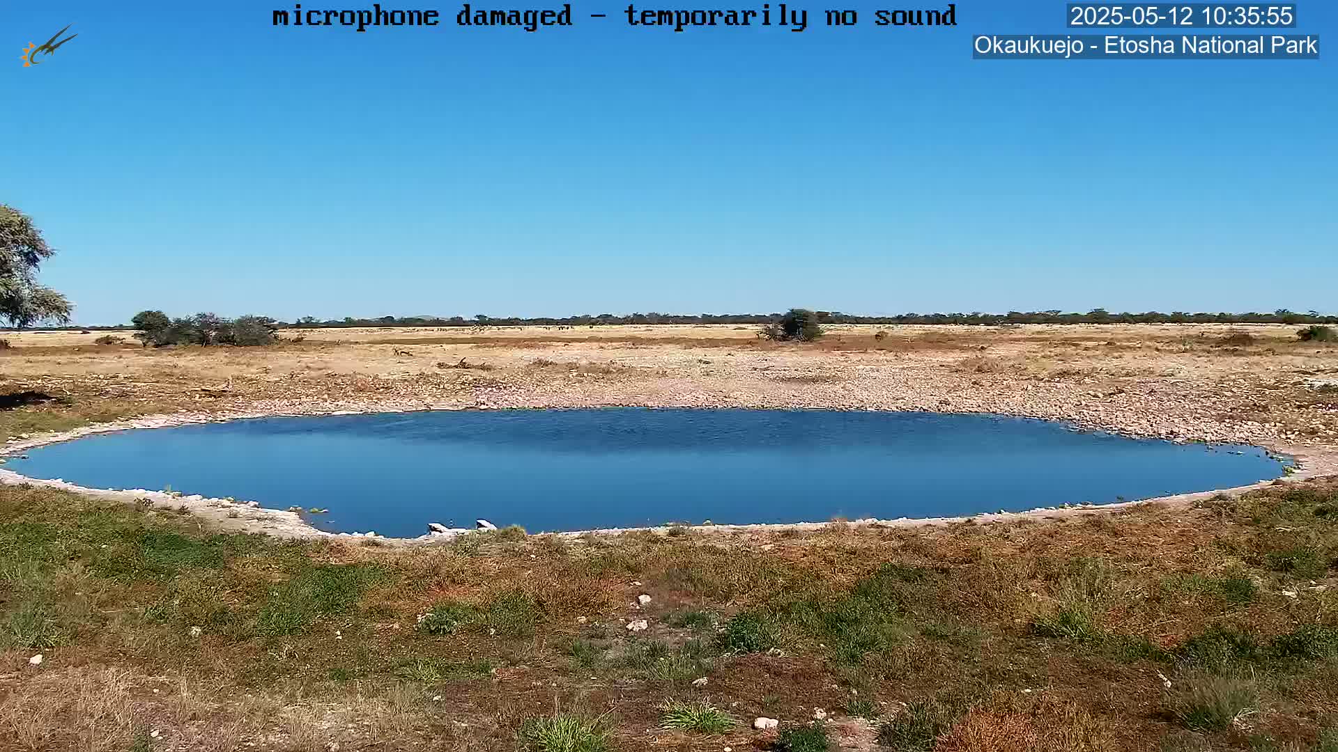 A small, calm body of blue water sits in a dry, rocky landscape under a clear blue sky.
