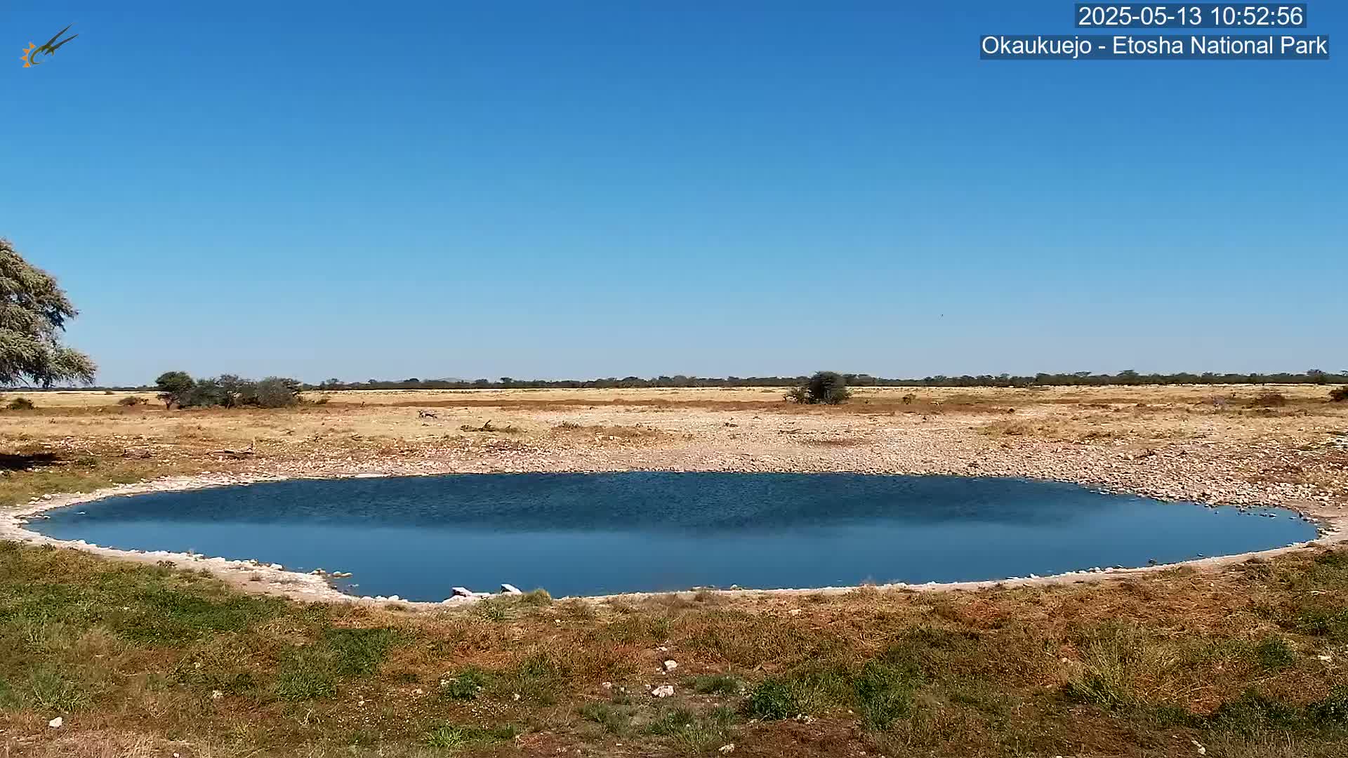 Under a clear blue sky, a small, still body of blue water is nestled within a rocky, dry, grassy landscape.