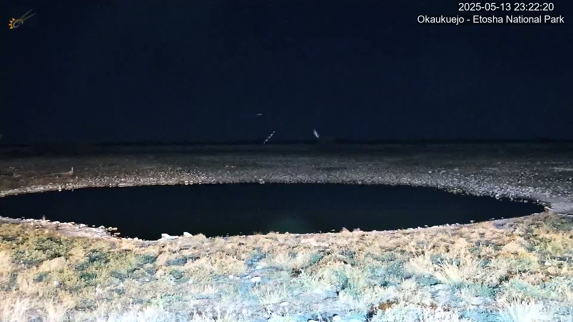 A dark, oval-shaped pool of water sits in a dry, rocky landscape under a clear night sky.