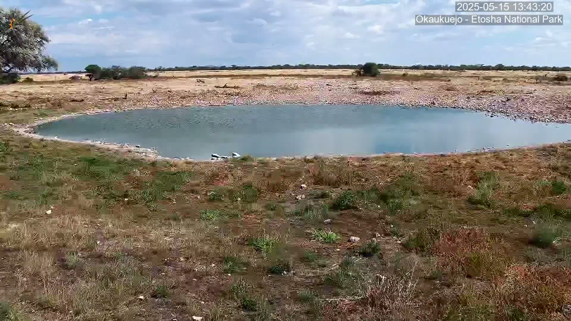 A small, calm body of water sits in a dry, grassy landscape under a partly cloudy sky.