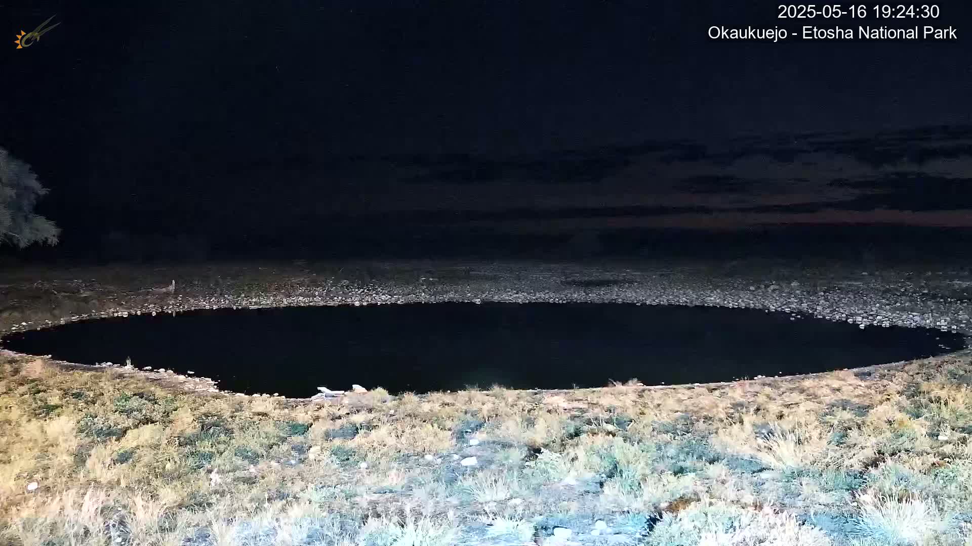 A dark, still body of water surrounded by dry, light brown grass under a clear night sky.