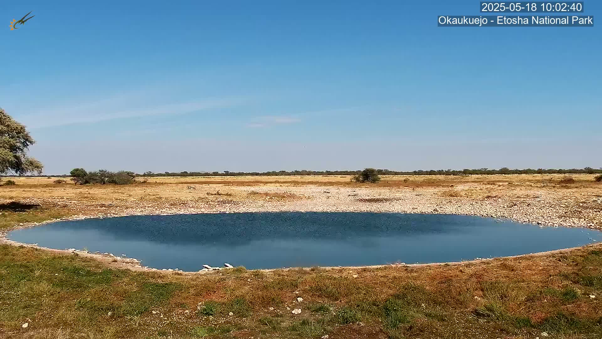 A calm, blue watering hole sits in a dry, rocky landscape under a clear blue sky.