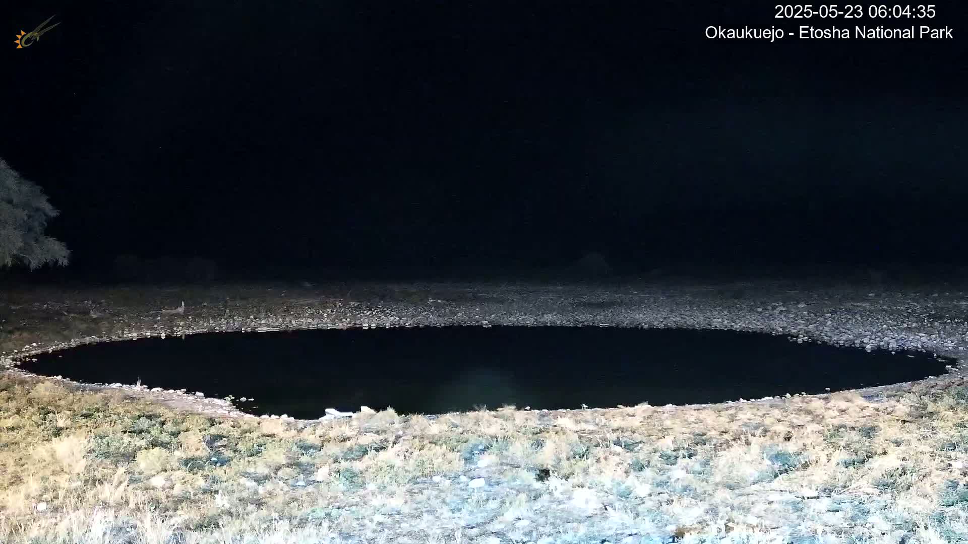 A dark, still body of water sits in a rocky, grassy area at night.