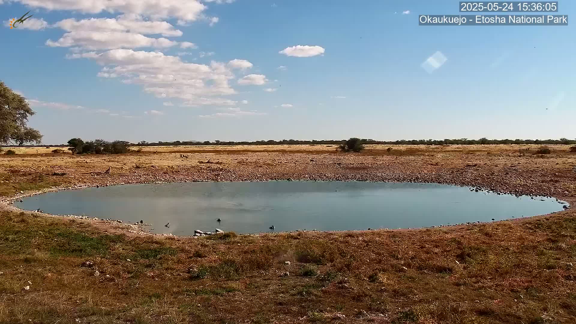 A small, still body of water sits in a dry, rocky landscape under a mostly sunny sky with scattered clouds.
