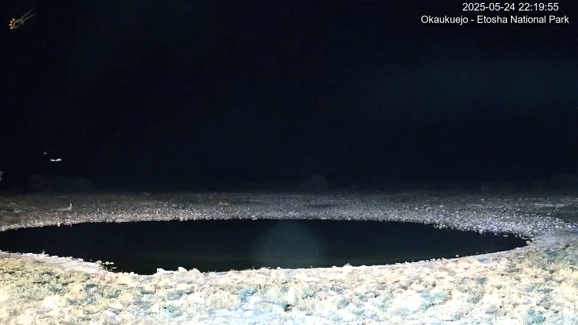A dark, still body of water is surrounded by a rocky, sparsely vegetated shoreline at night under a clear, starlit sky.