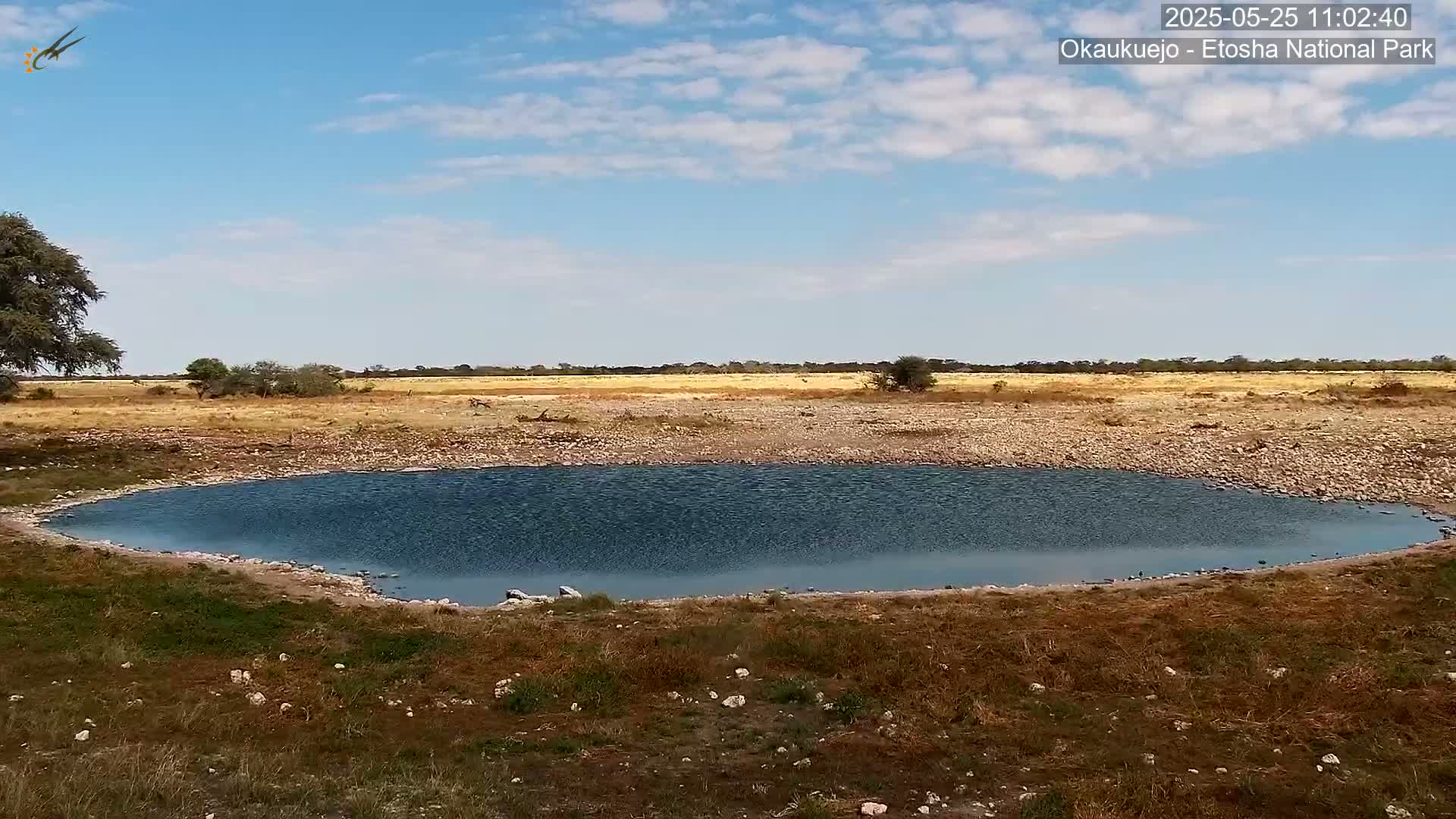 A small, dark-blue pool of water sits in a dry, rocky landscape under a mostly sunny sky.