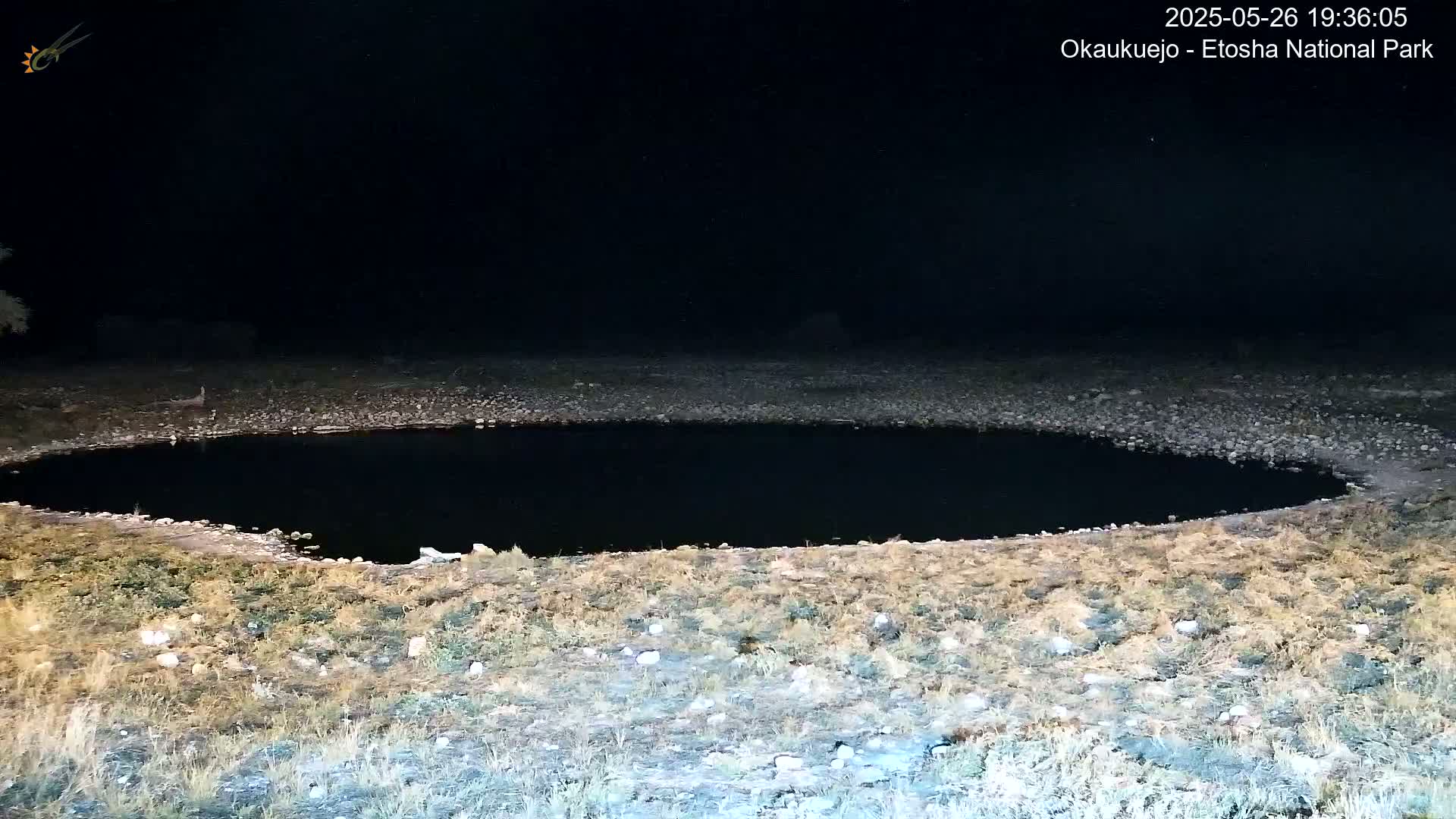 A dark, still body of water sits in a dry, rocky area at night.