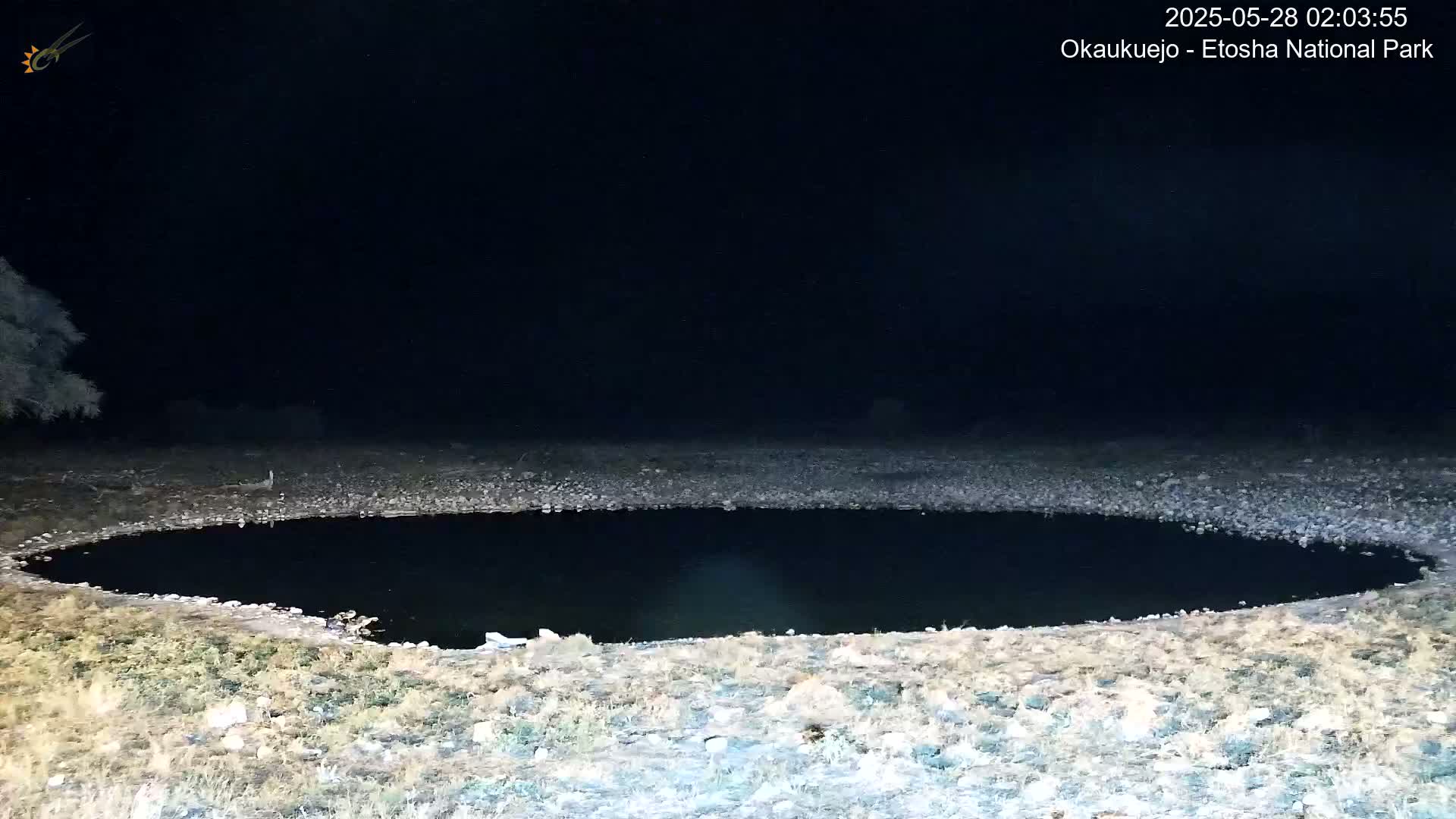 A dark, still body of water is surrounded by dry, light-colored ground under a nighttime sky.