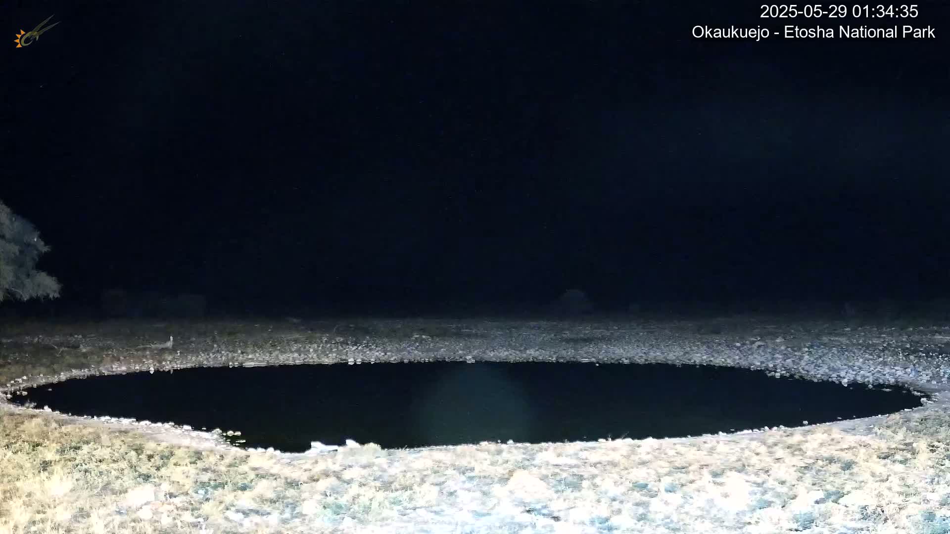 A dark, still pool of water sits in a dry, rocky landscape under a clear, starlit night sky.