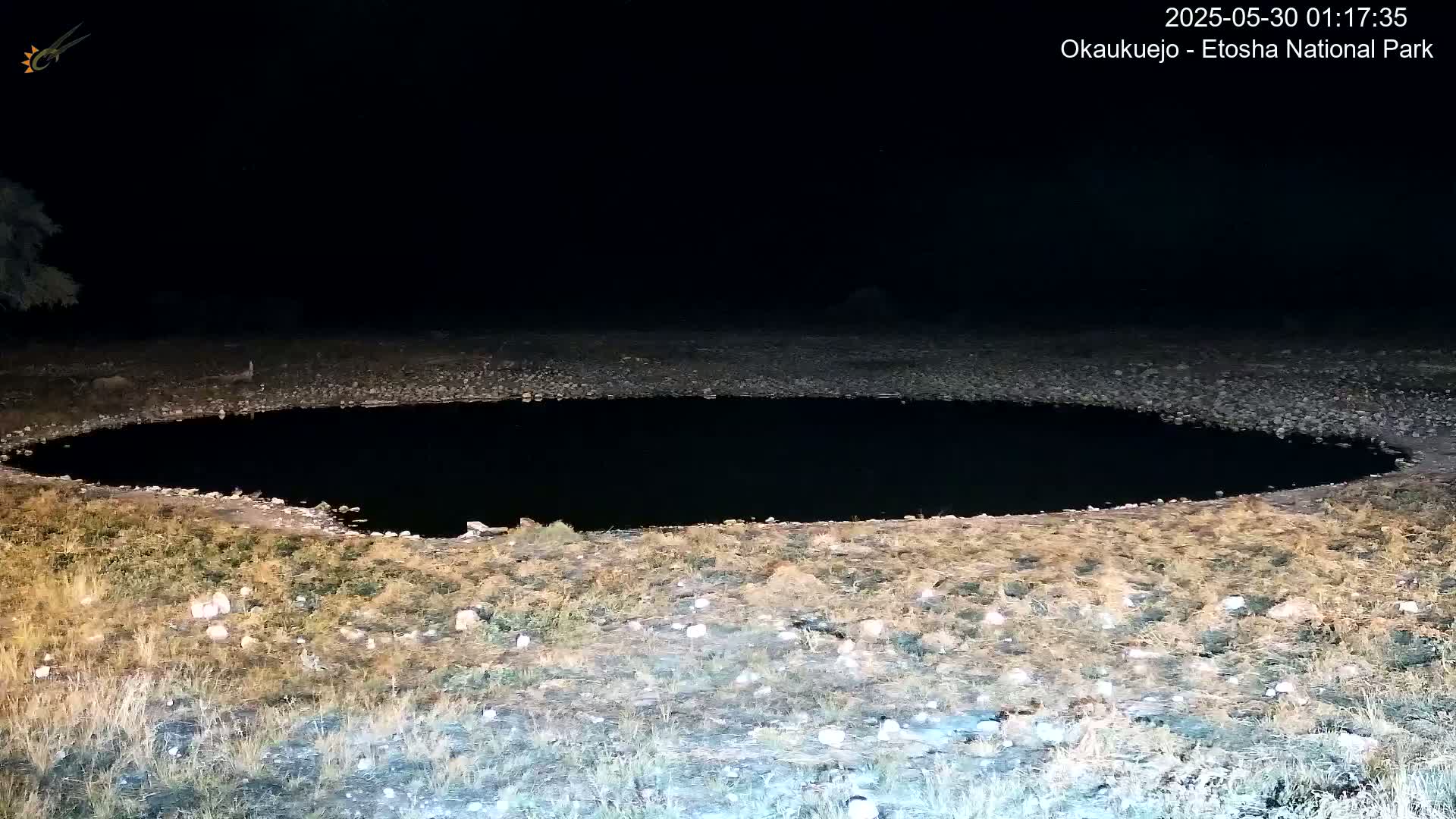 A dark, oval-shaped pool of water sits in a dry, rocky area at night.