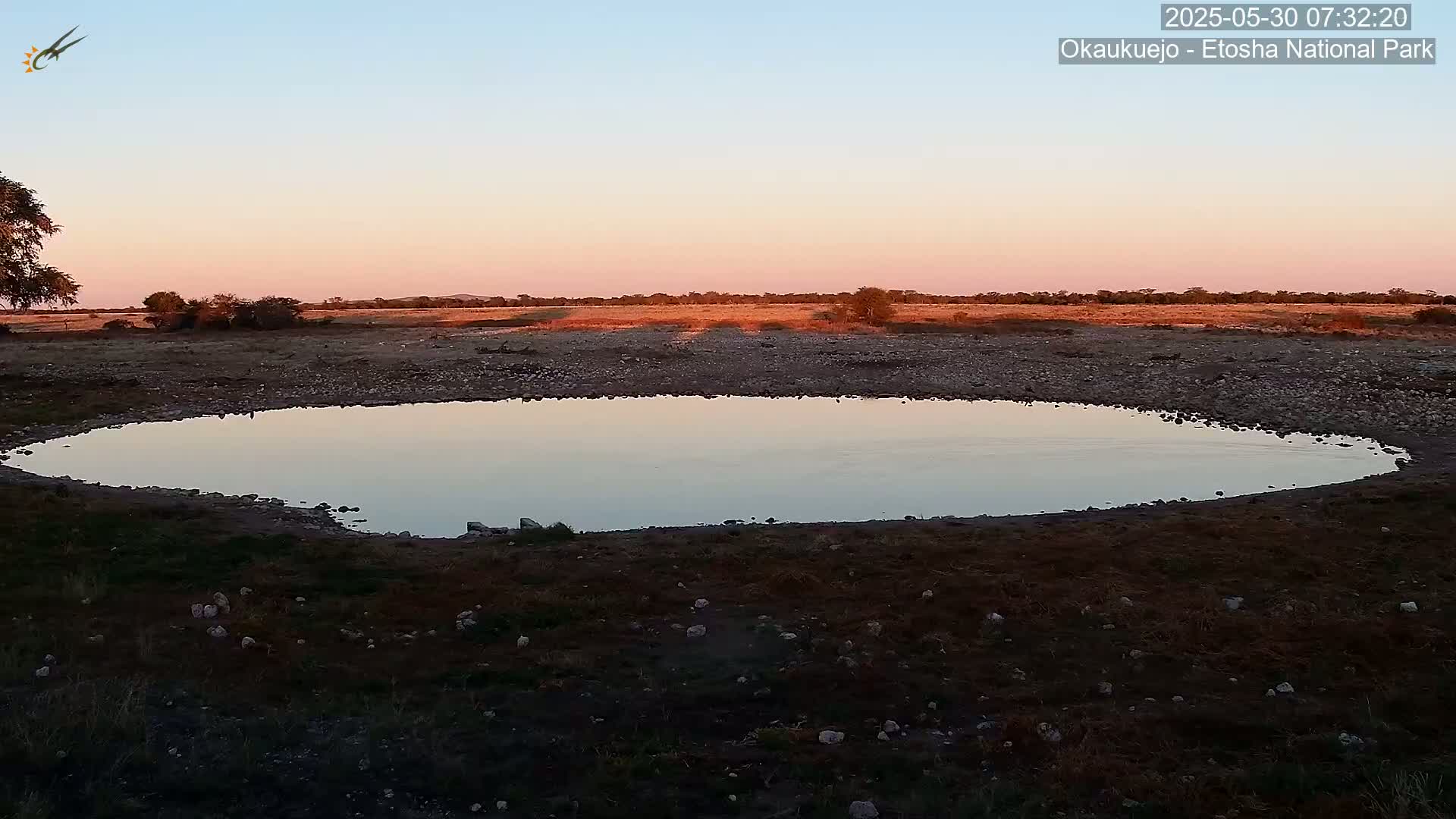 A calm, shallow pool of water reflects the pale pink and orange hues of a sunset sky in a dry, rocky landscape.