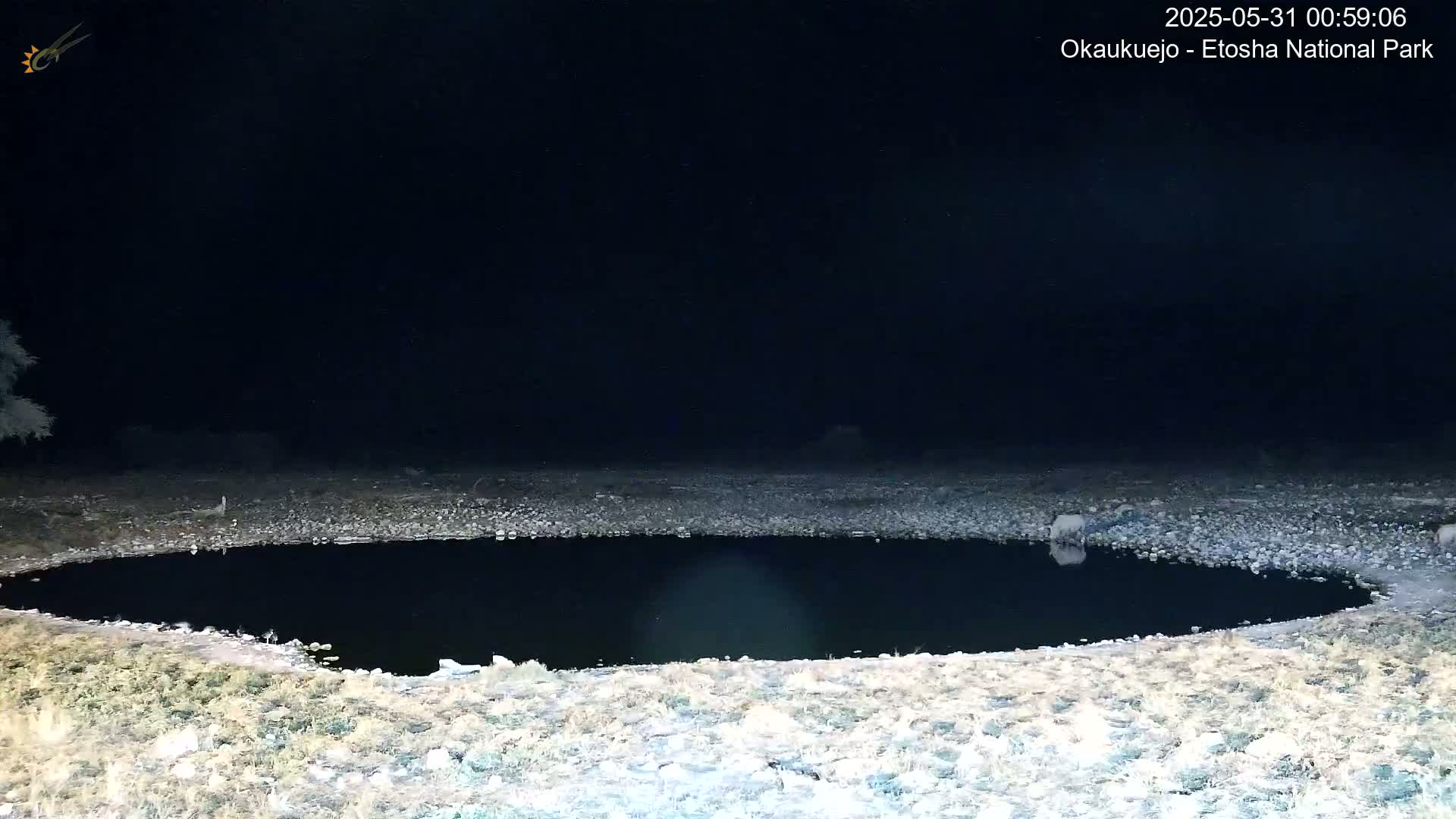 A dark, still body of water is surrounded by a rocky, sparsely vegetated shoreline under a nighttime sky.