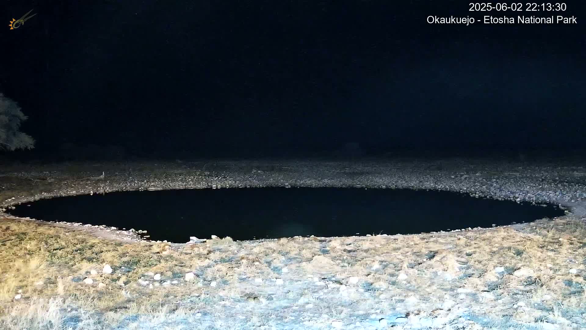 A dark, oval-shaped pool of water sits in a dry, rocky area under a nighttime sky.