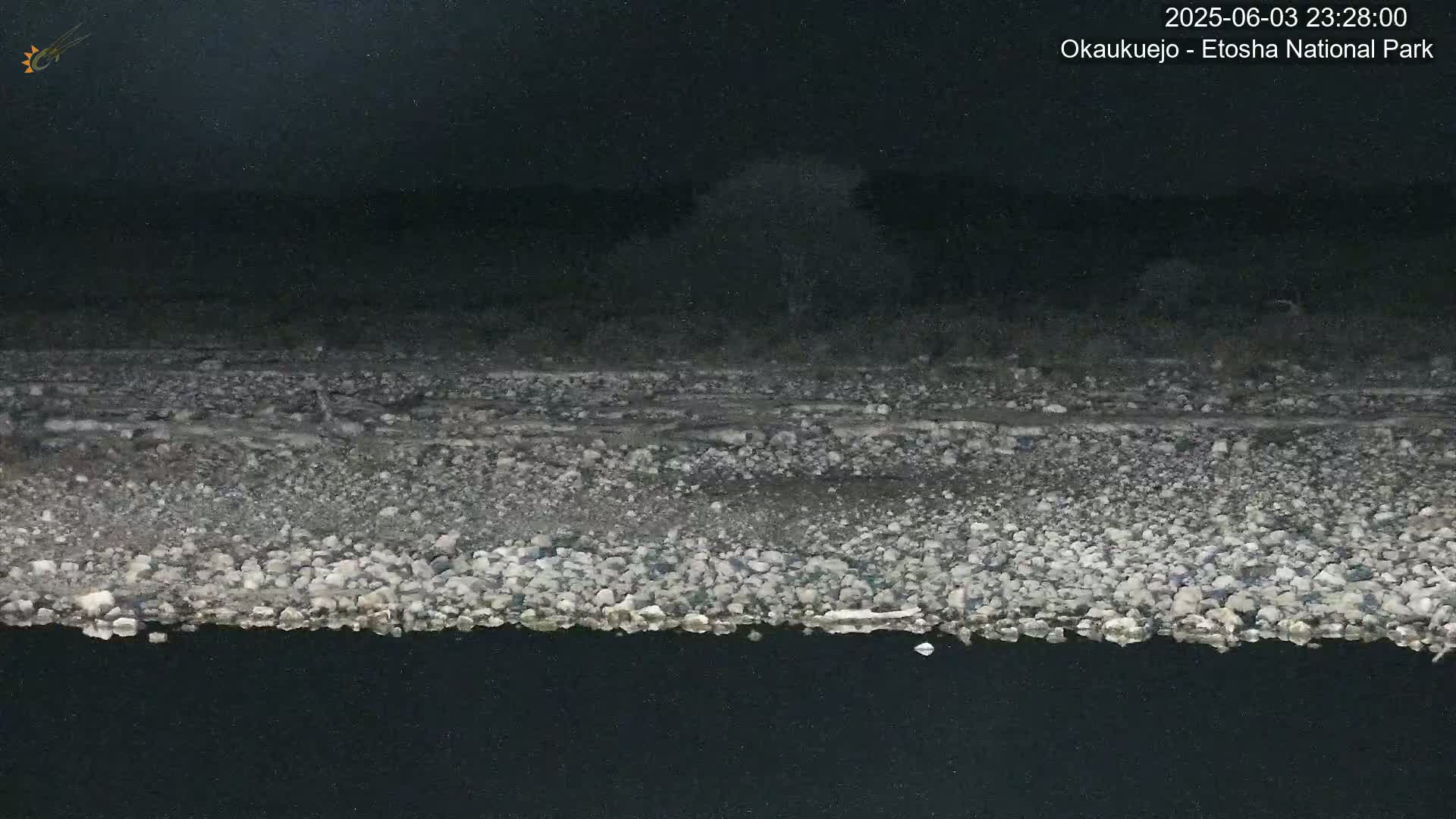 A rocky riverbank at night borders a dark body of water under a cloudy sky.