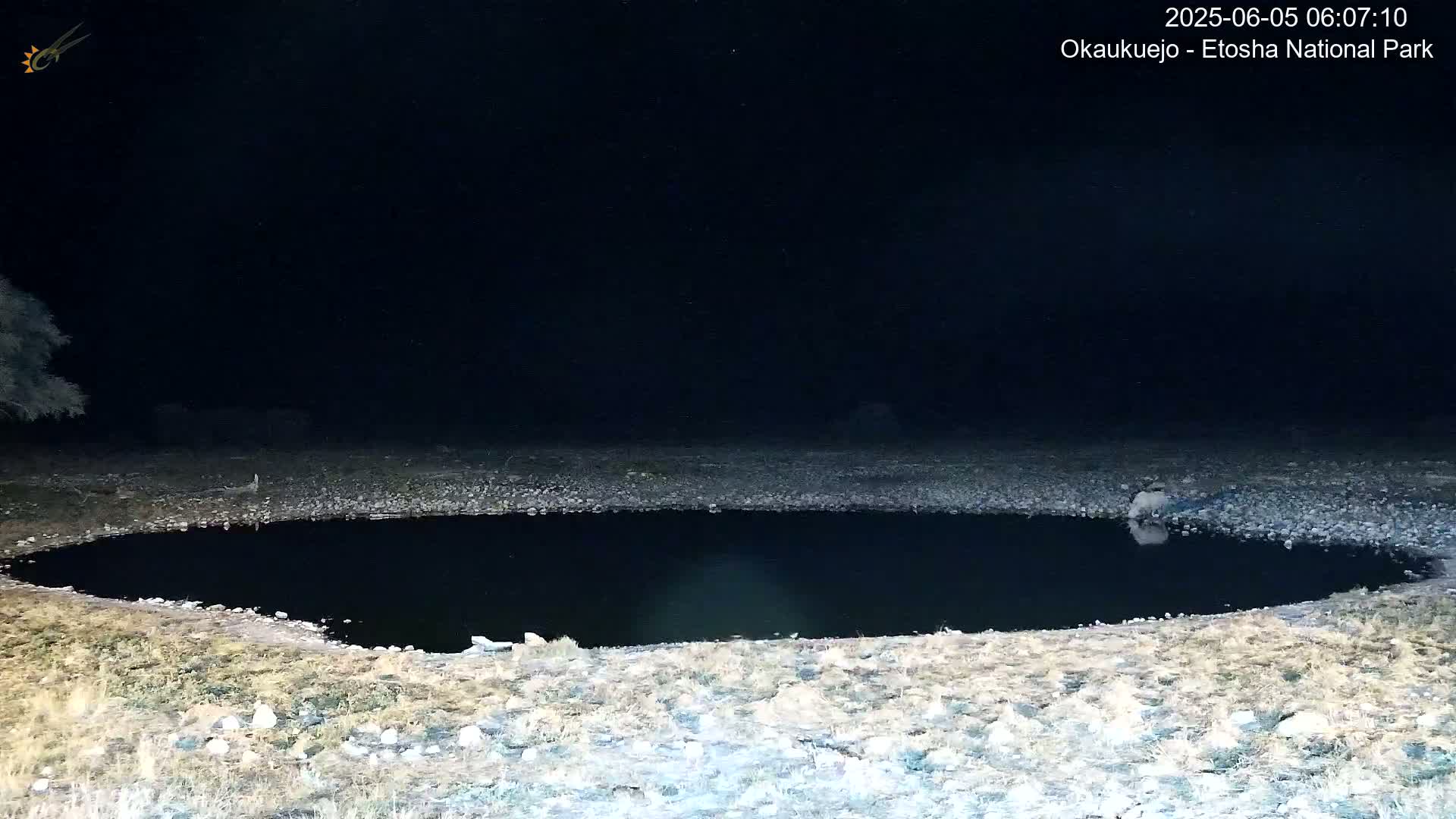 A dark, still body of water is surrounded by a rocky, sparsely vegetated area under a nighttime sky.