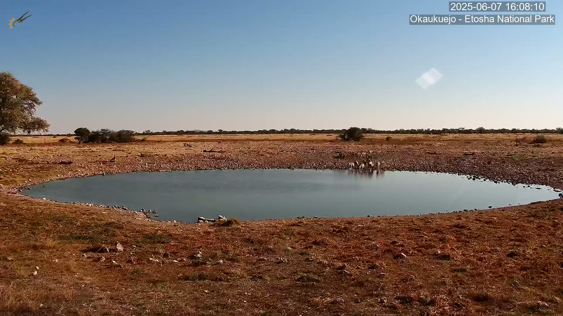 A small, still body of water sits in a dry, rocky landscape under a clear blue sky.