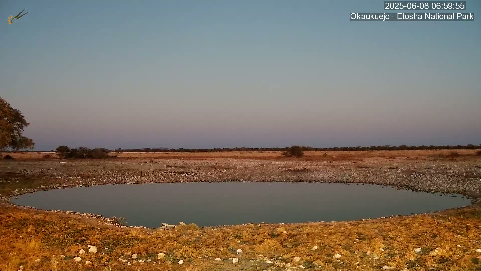 Wild Animal Life  in Okaukuejo Waterhole in Etosha National Park  -  Oshakati, Oshana, Namibia