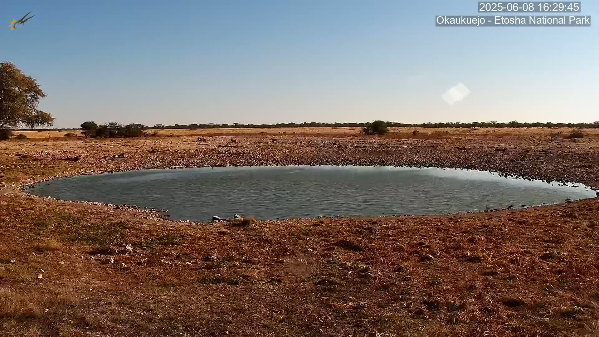 A small, calm body of water sits in a dry, brown landscape under a clear blue sky.