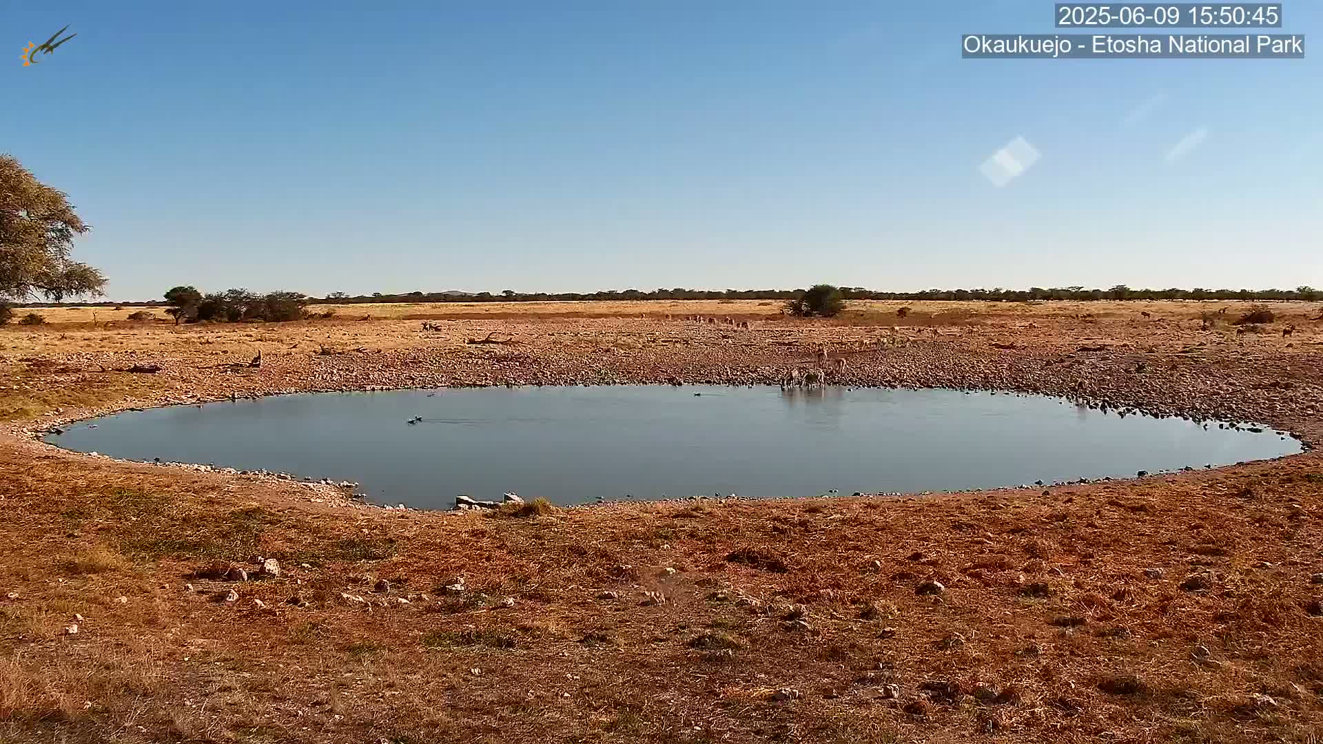 A calm, still body of water sits in a dry, brown landscape under a clear blue sky.